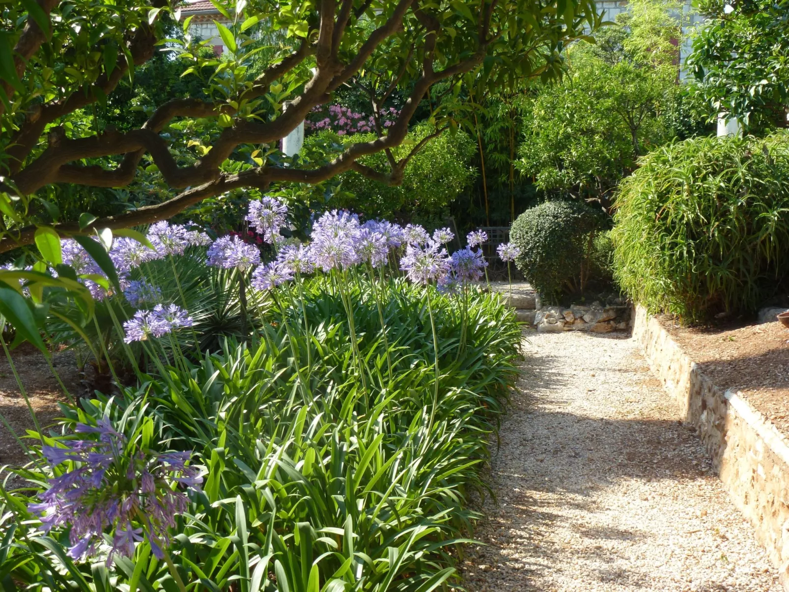 Ferienvilla "Villa Dracoena".-Buiten