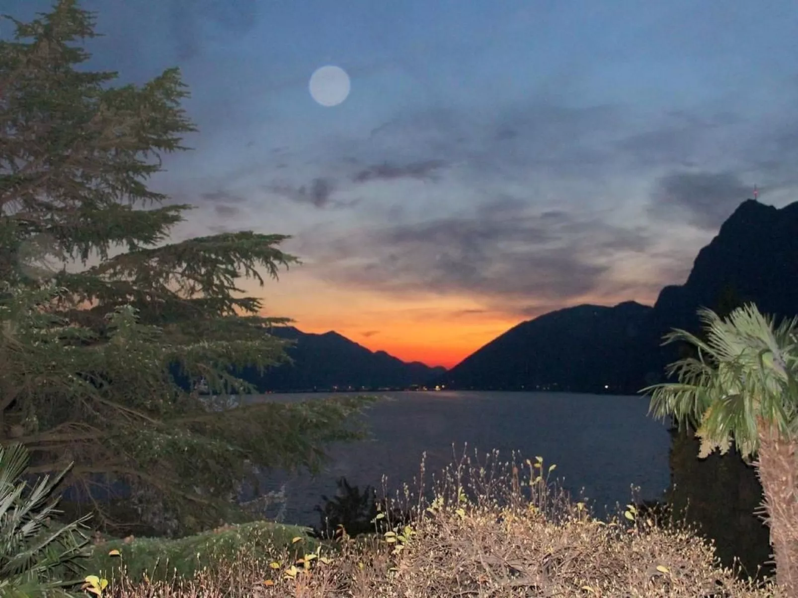 Lavendel-Image-tags.info