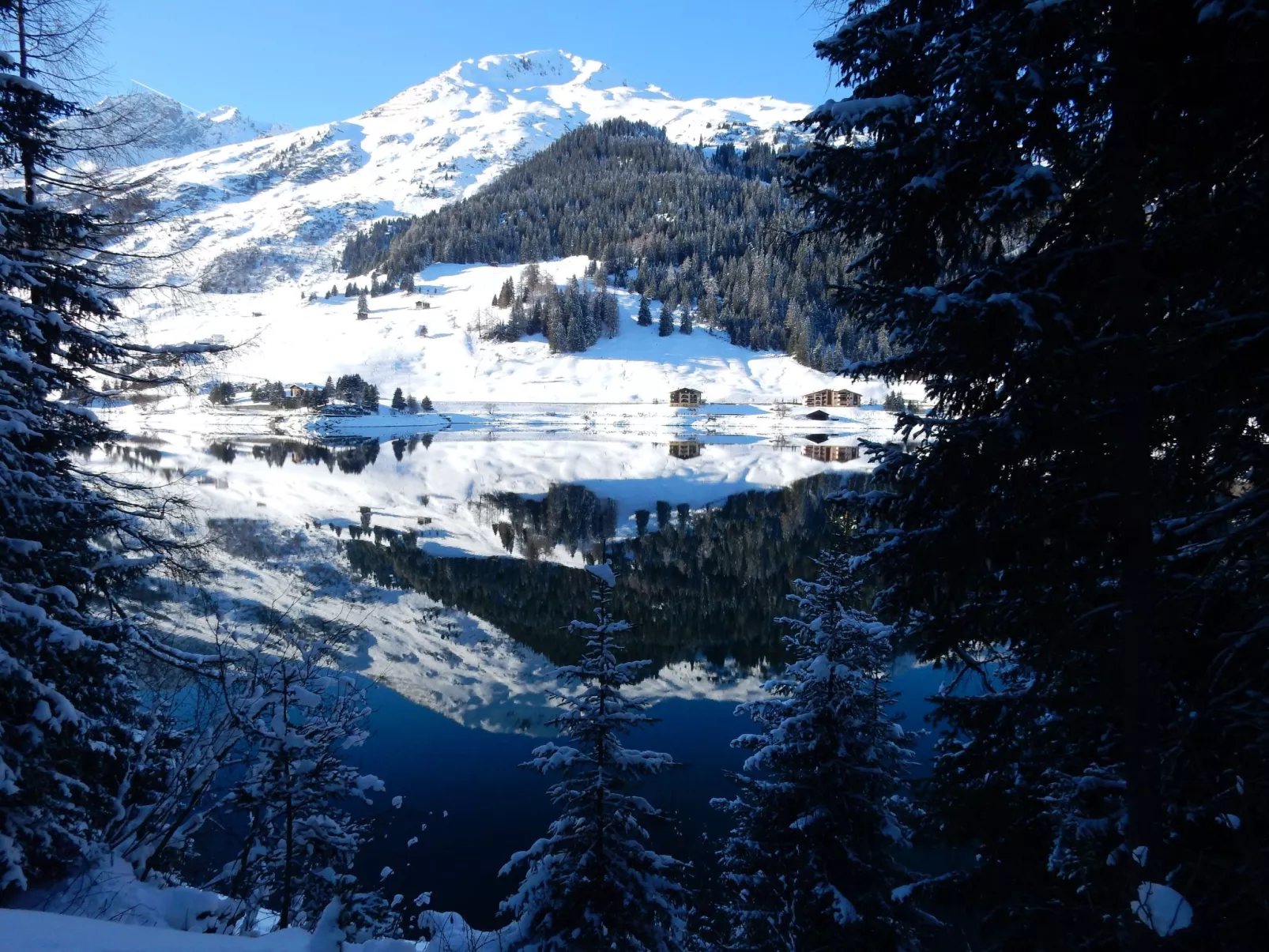 Spaini-Image-tags.info