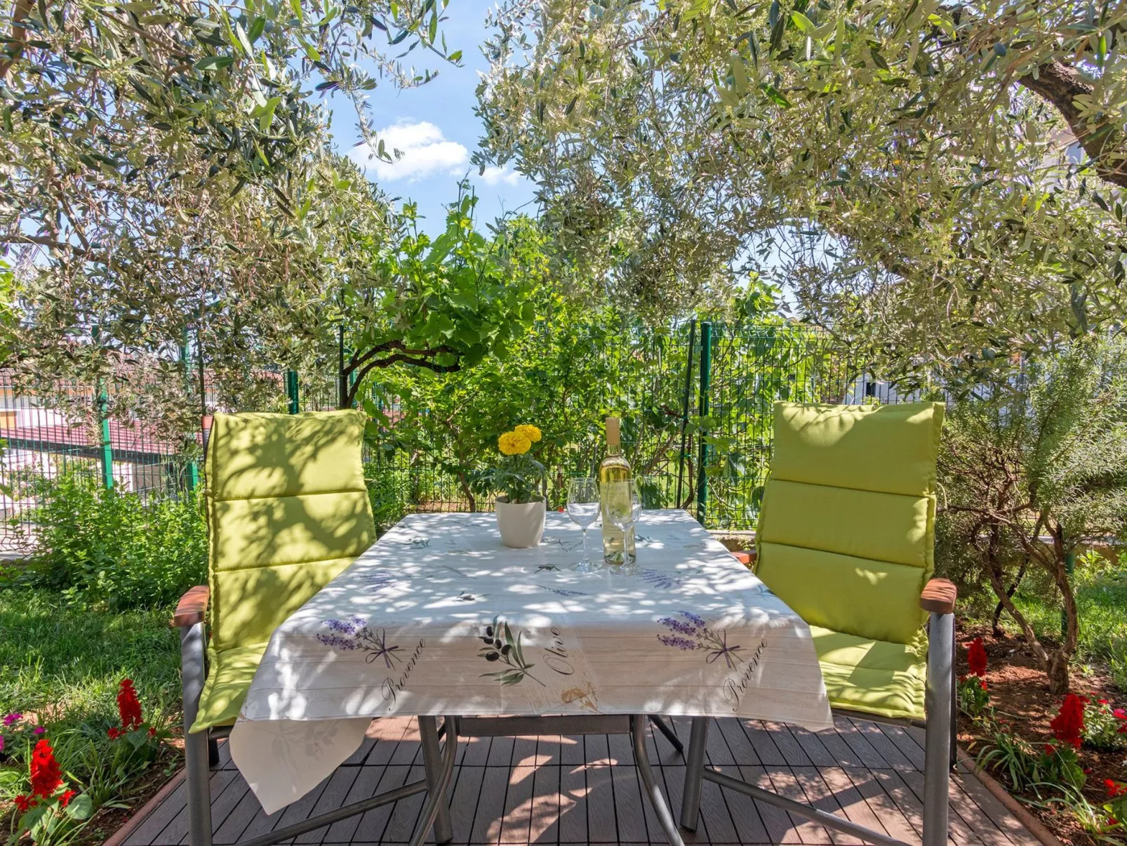 Studio Oliva ****-Image-tags.info