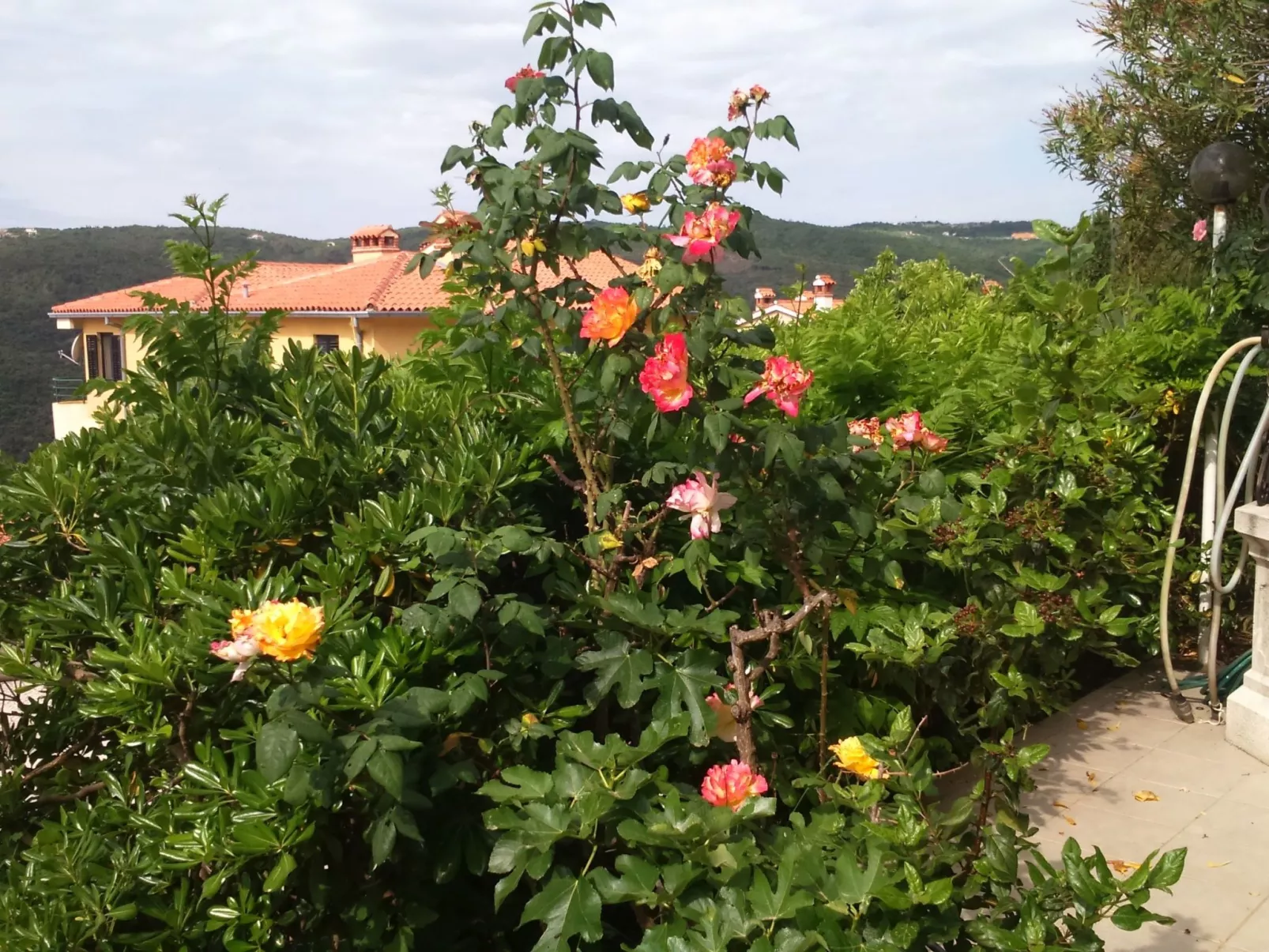 Apartment Bellavista-Buiten
