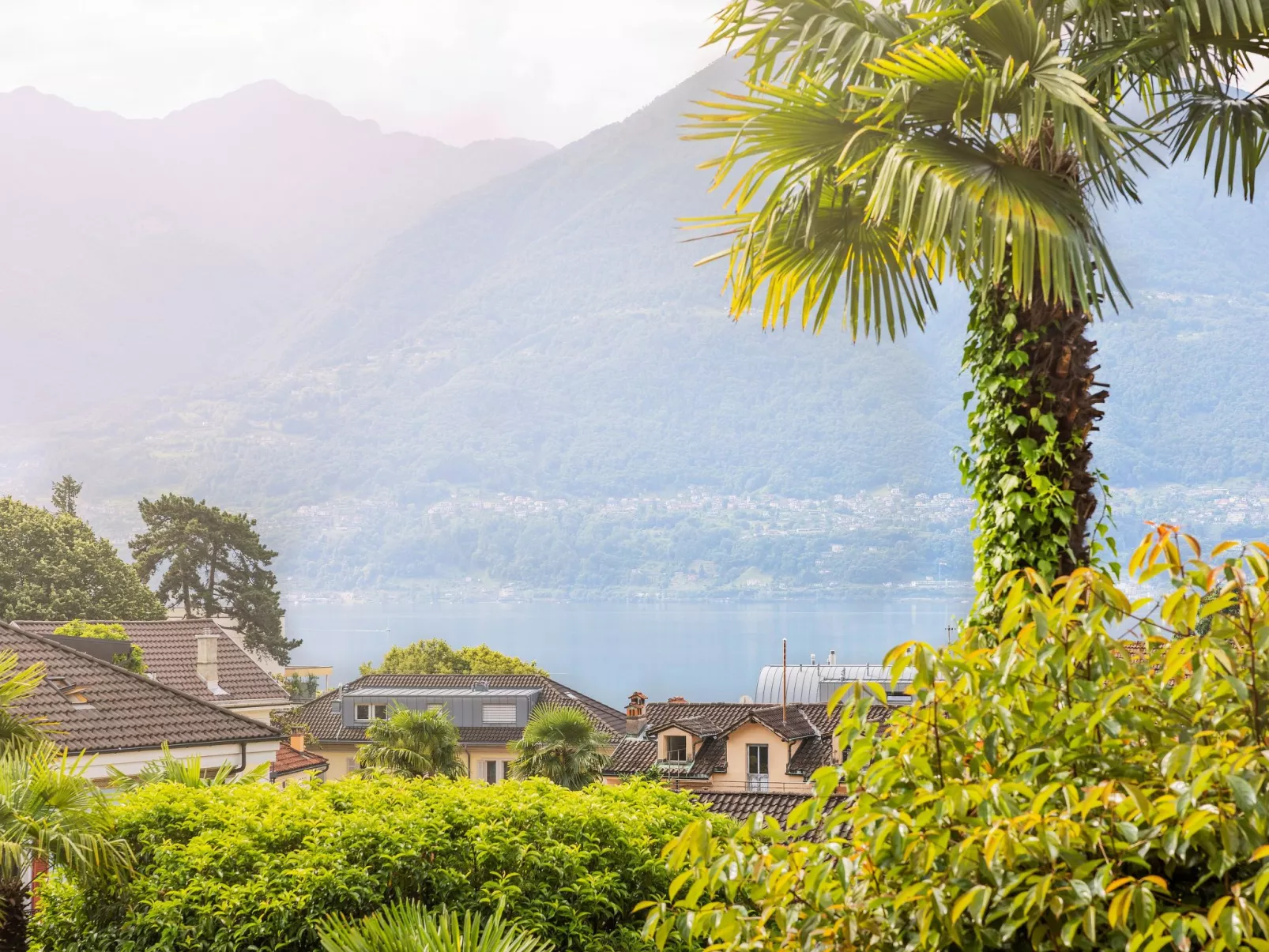 Villa Magnolia Boutique Apartment Acqua-Image-tags.info