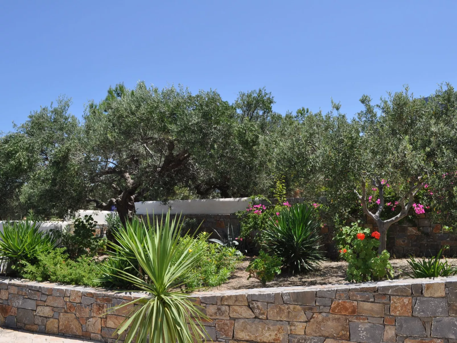 Nefeli Blue Villa in altem Olivenhain, Meerblick-Buiten