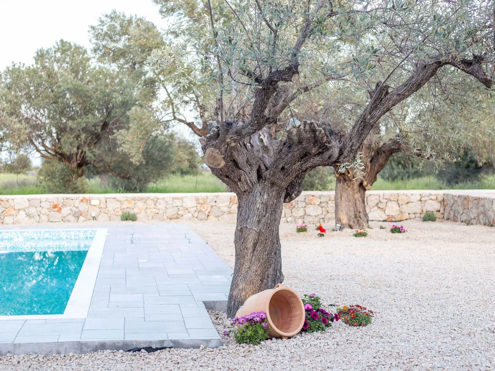 Kalathos Dream - Weißer Traum-Buiten