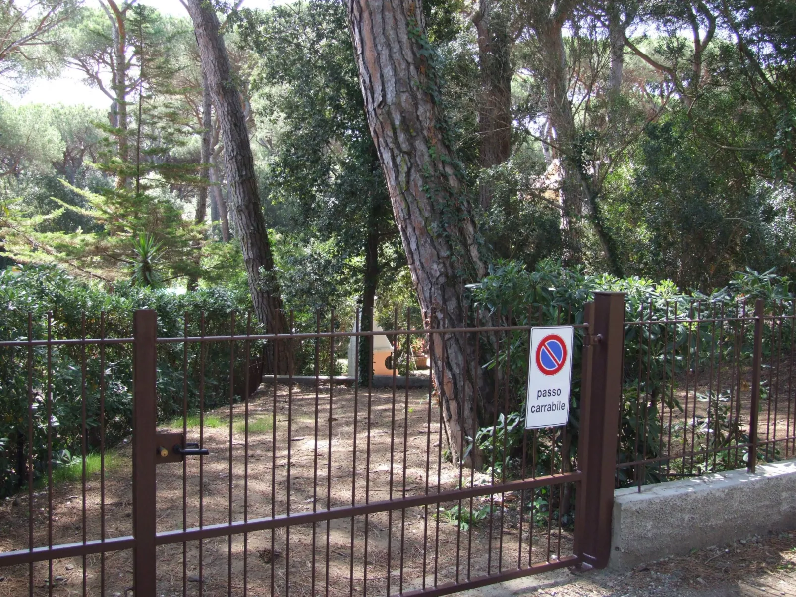 Rododendro von Holiday World-Buiten