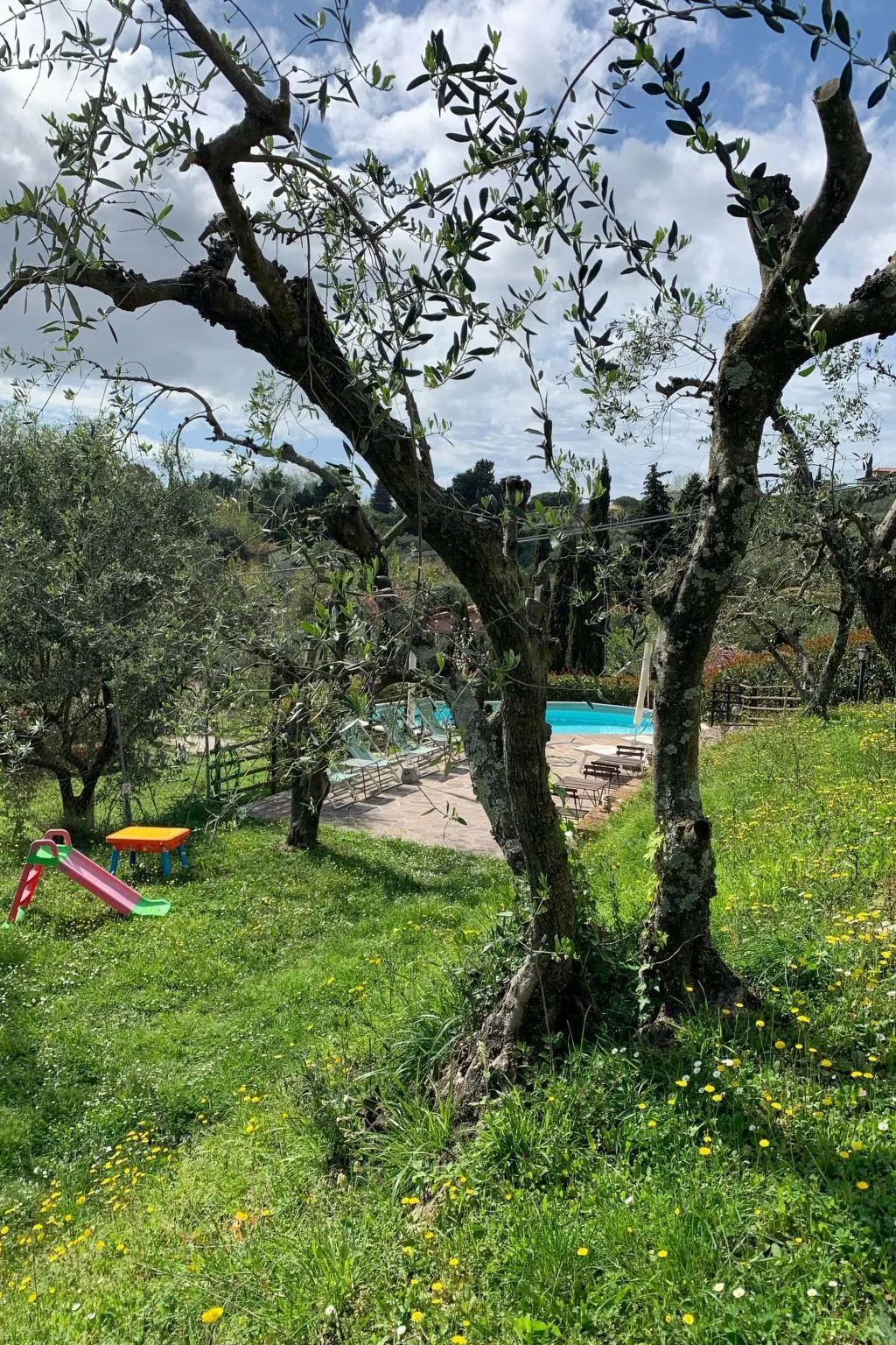 Wohnung 'Giuseppina6' mit Schwimmbad-Buiten