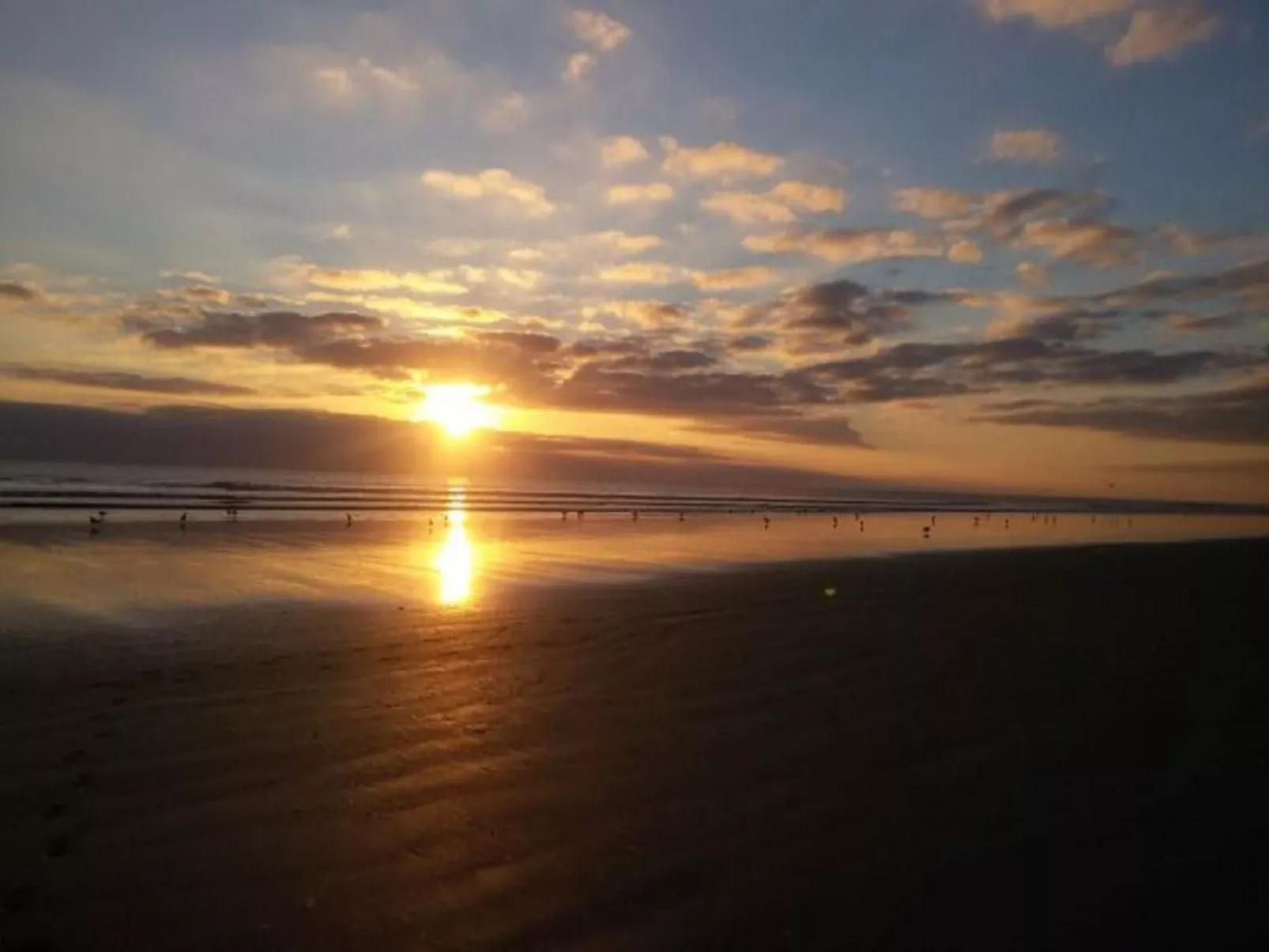 Standort mobiles Haus 3 chambres-Buiten