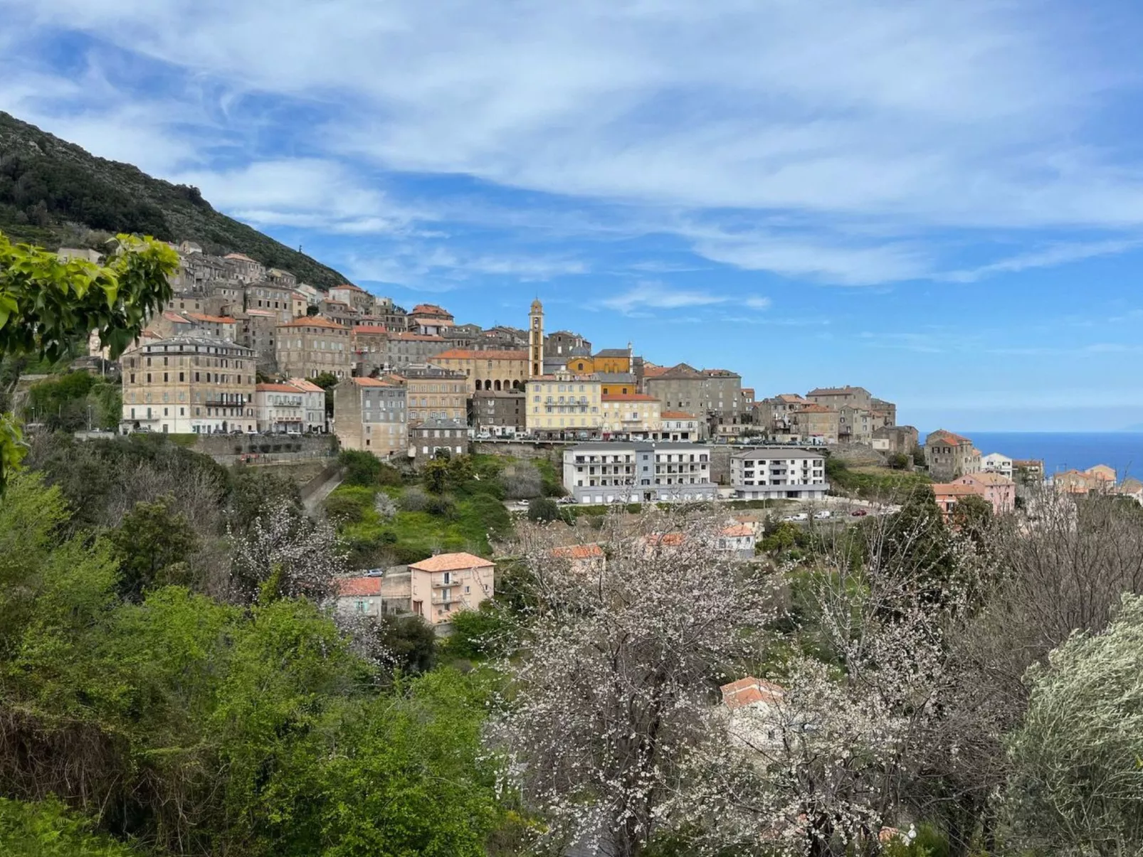 Villa mit Meerblick U Castagnu in geschützter Natur-Image-tags.info