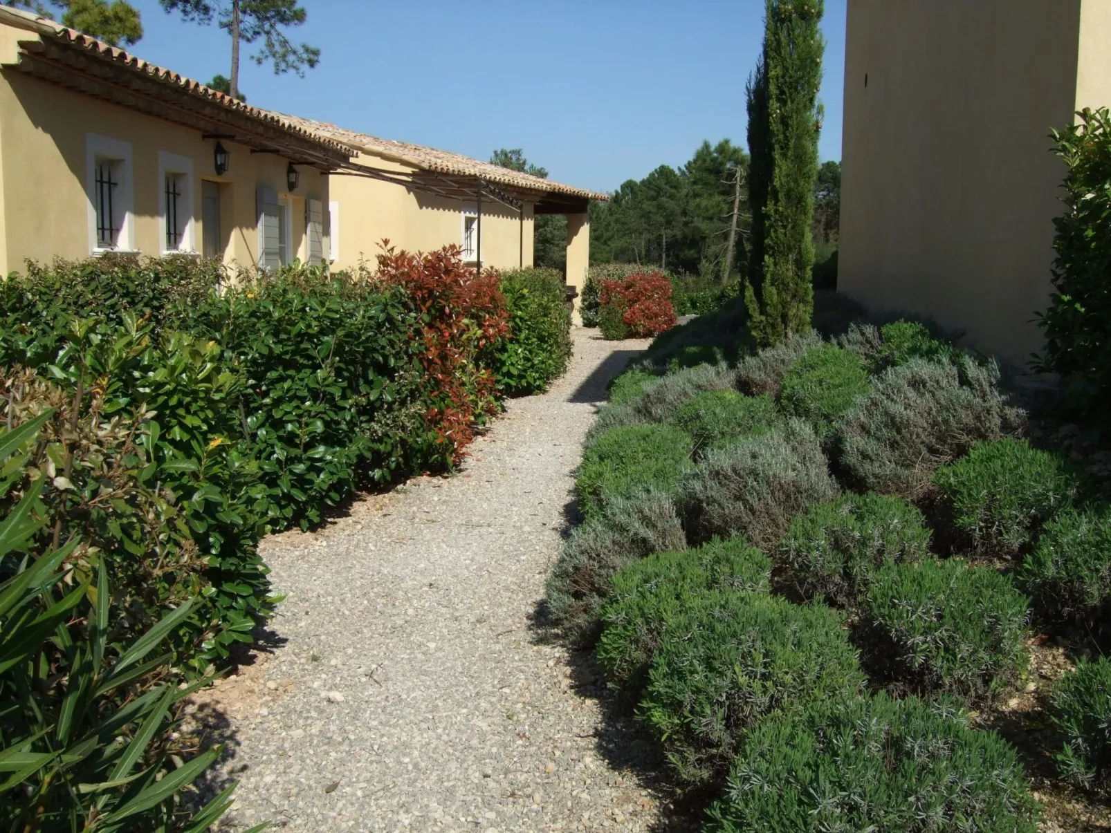 Villa Verdi A Wohnung inmitten der Natur-Buiten