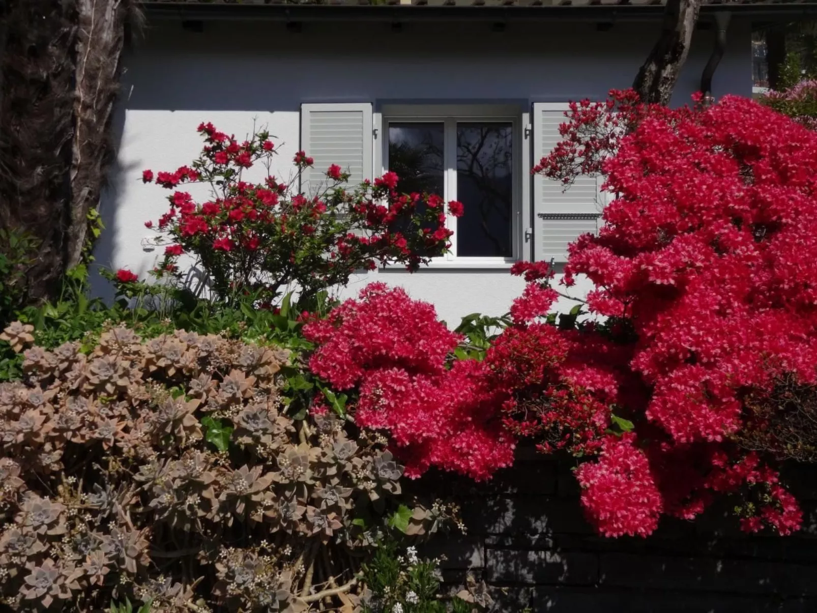 Öko-Haus C mit Gartenpool und herrlichem Seeblick-Buiten
