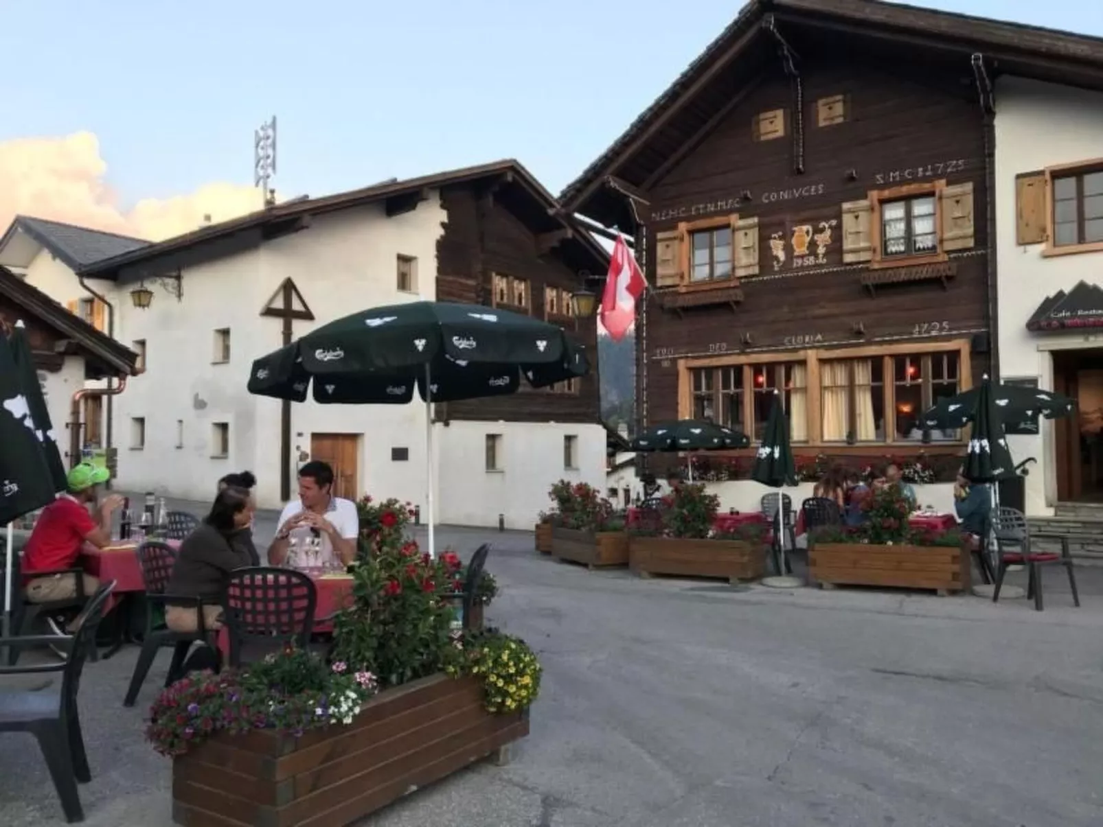 Blue Merle-Image-tags.info