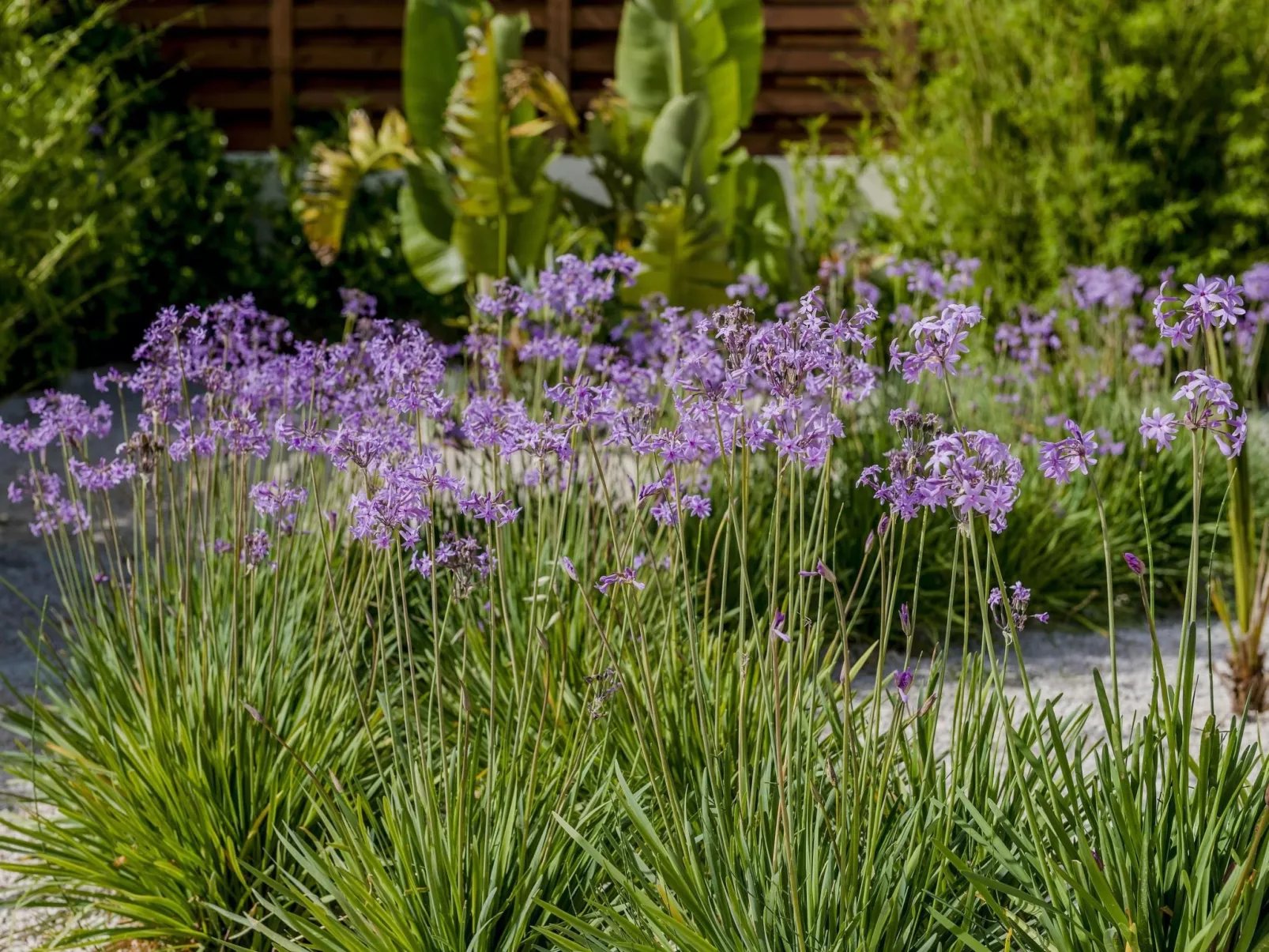 In Sgourou mit Eigenem Balkon-Image-tags.info