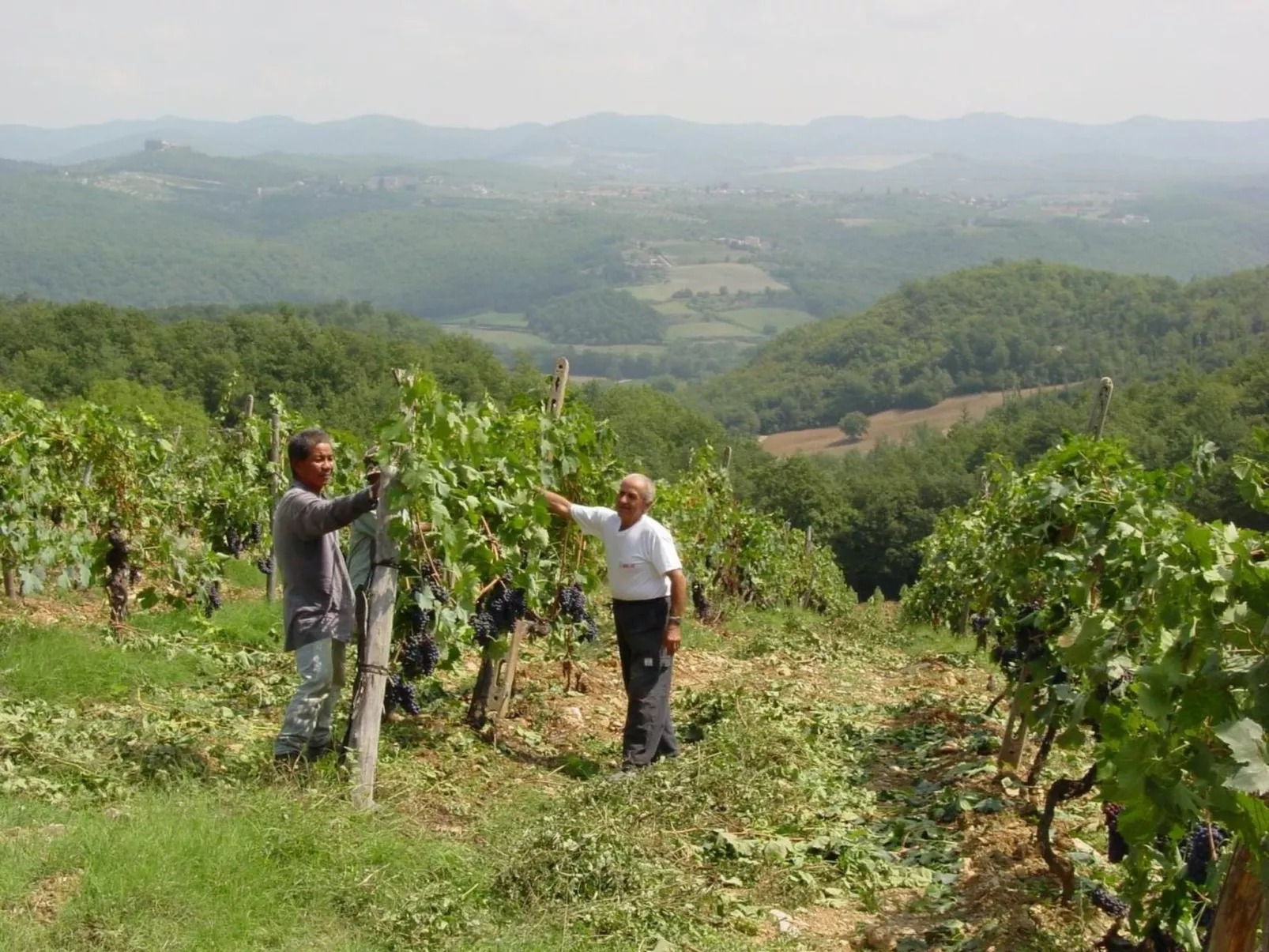 Schloss Selvole B3-Buiten