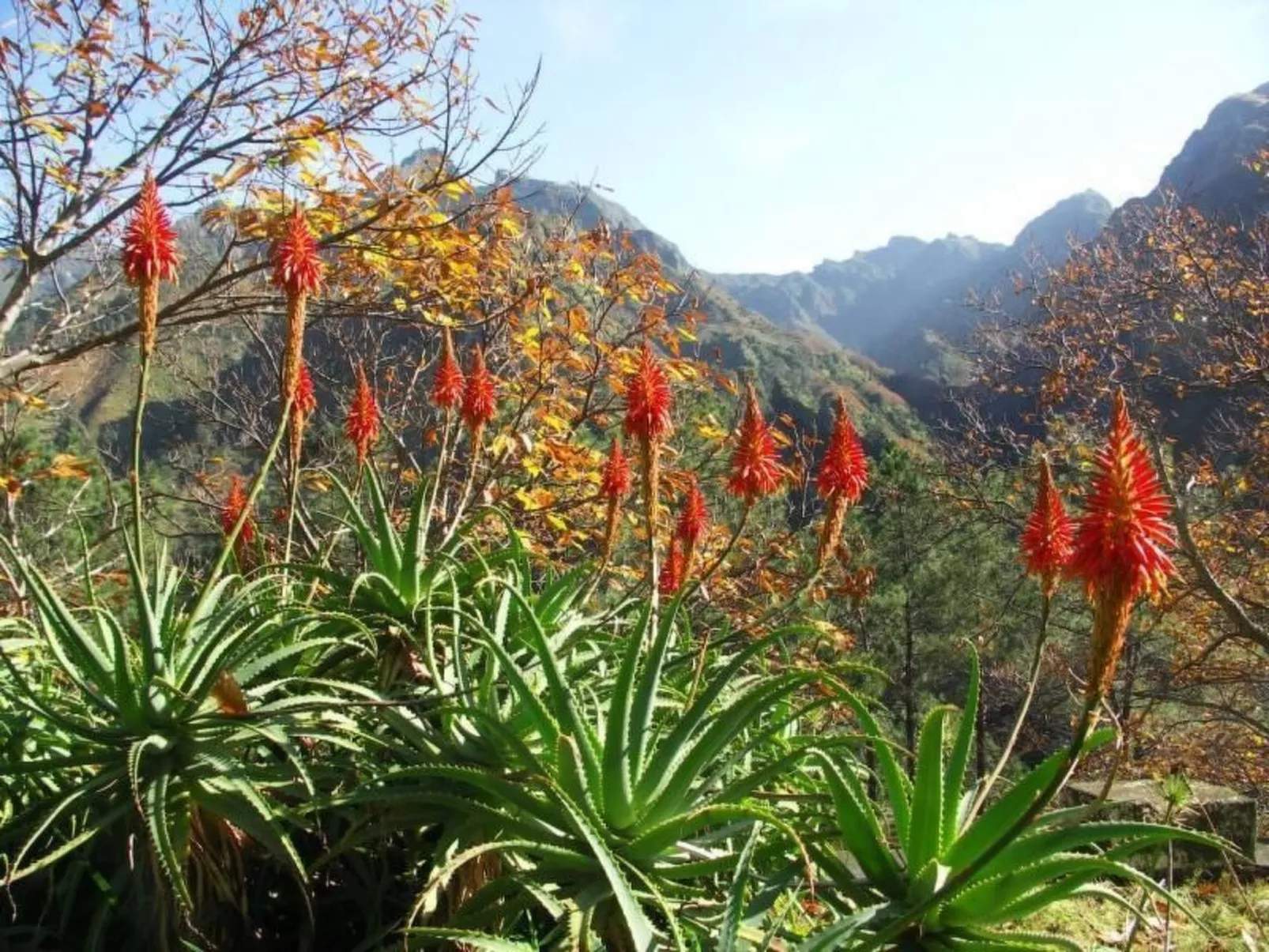 Appartement mit Aussicht auf das Wasser-Image-tags.info