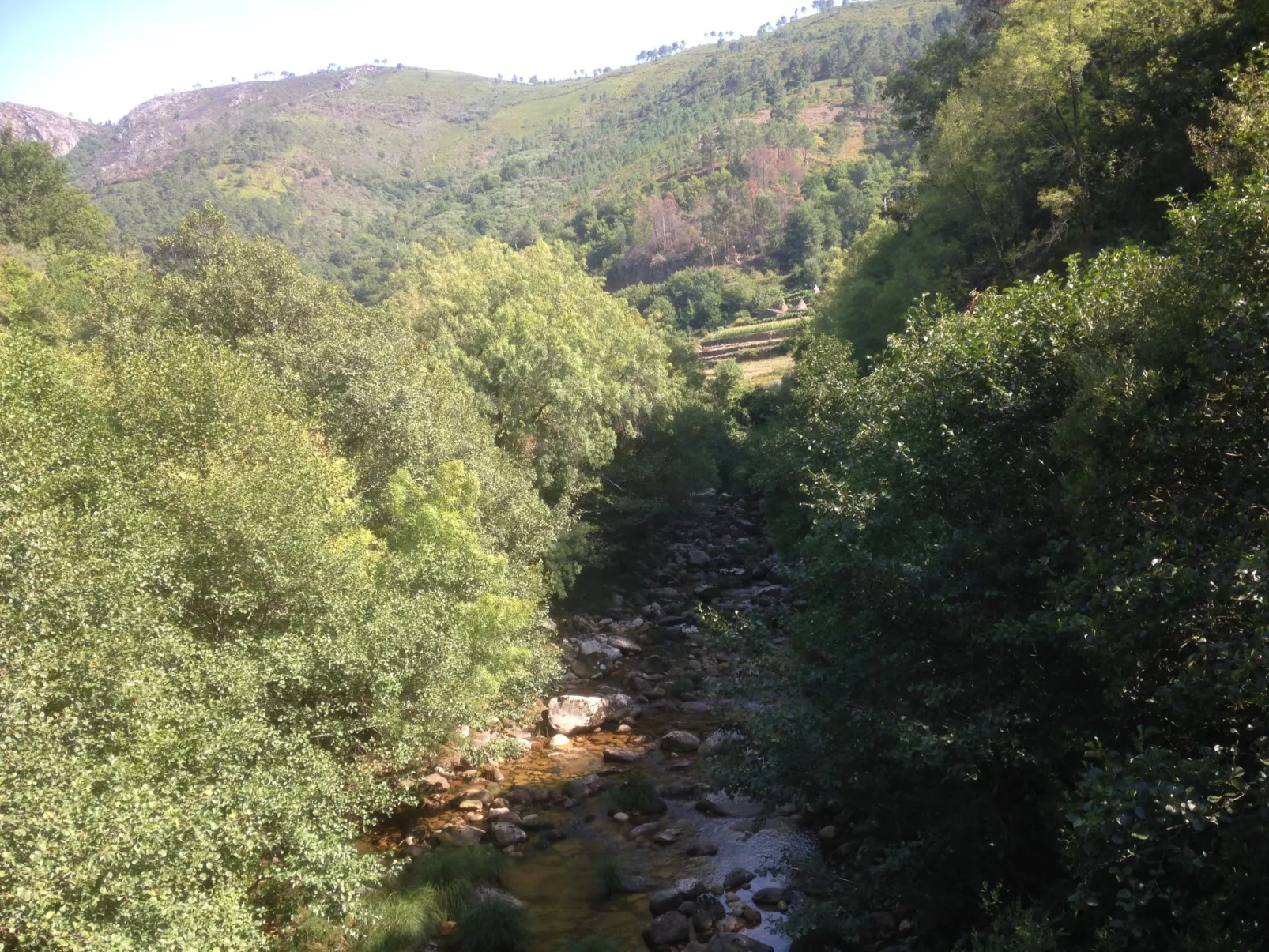 "Großmutters Häuschen" mit überdachter Terrasse-Buiten