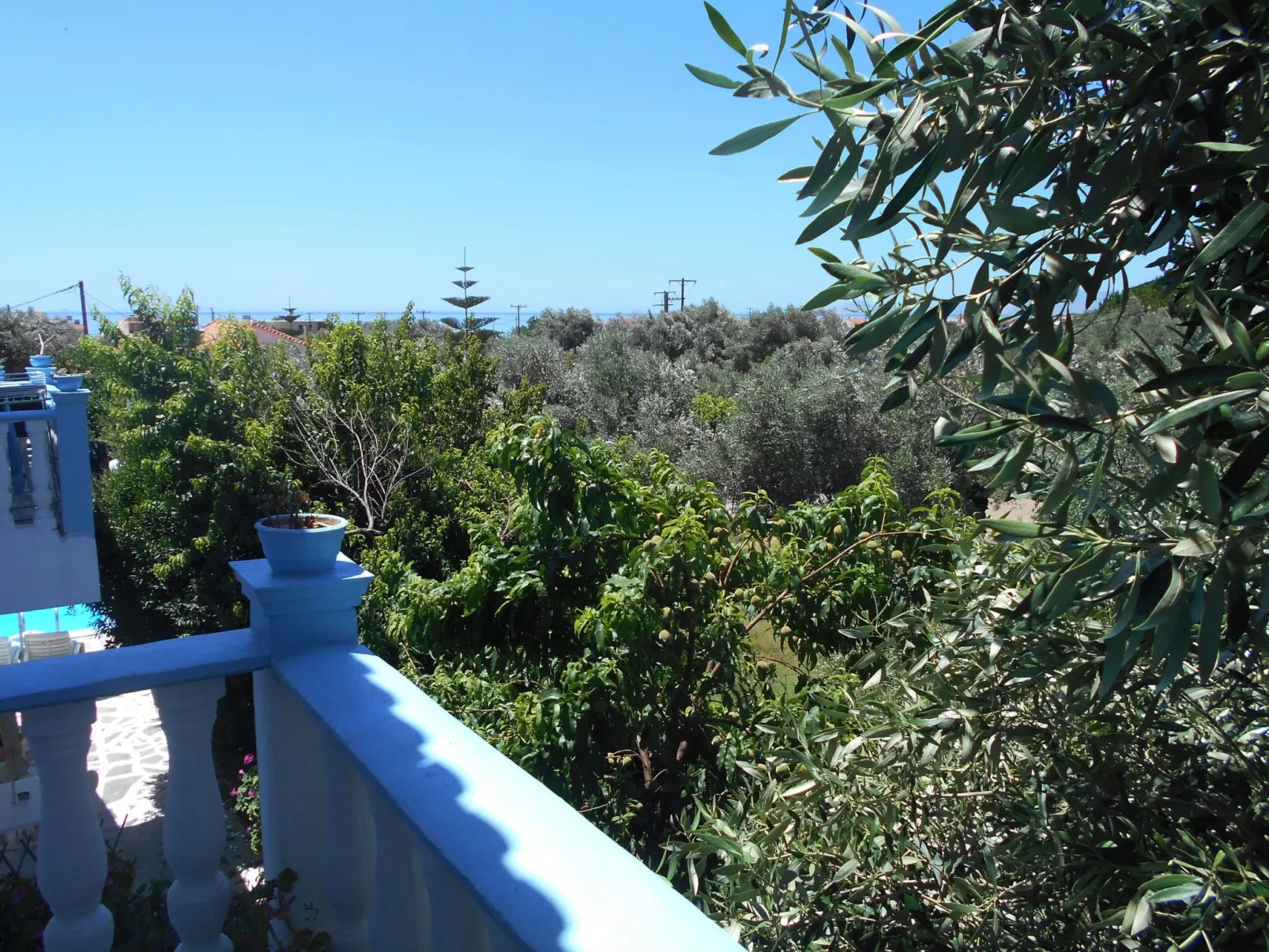 Meltemia-Studie Samos ASPRES-Buiten