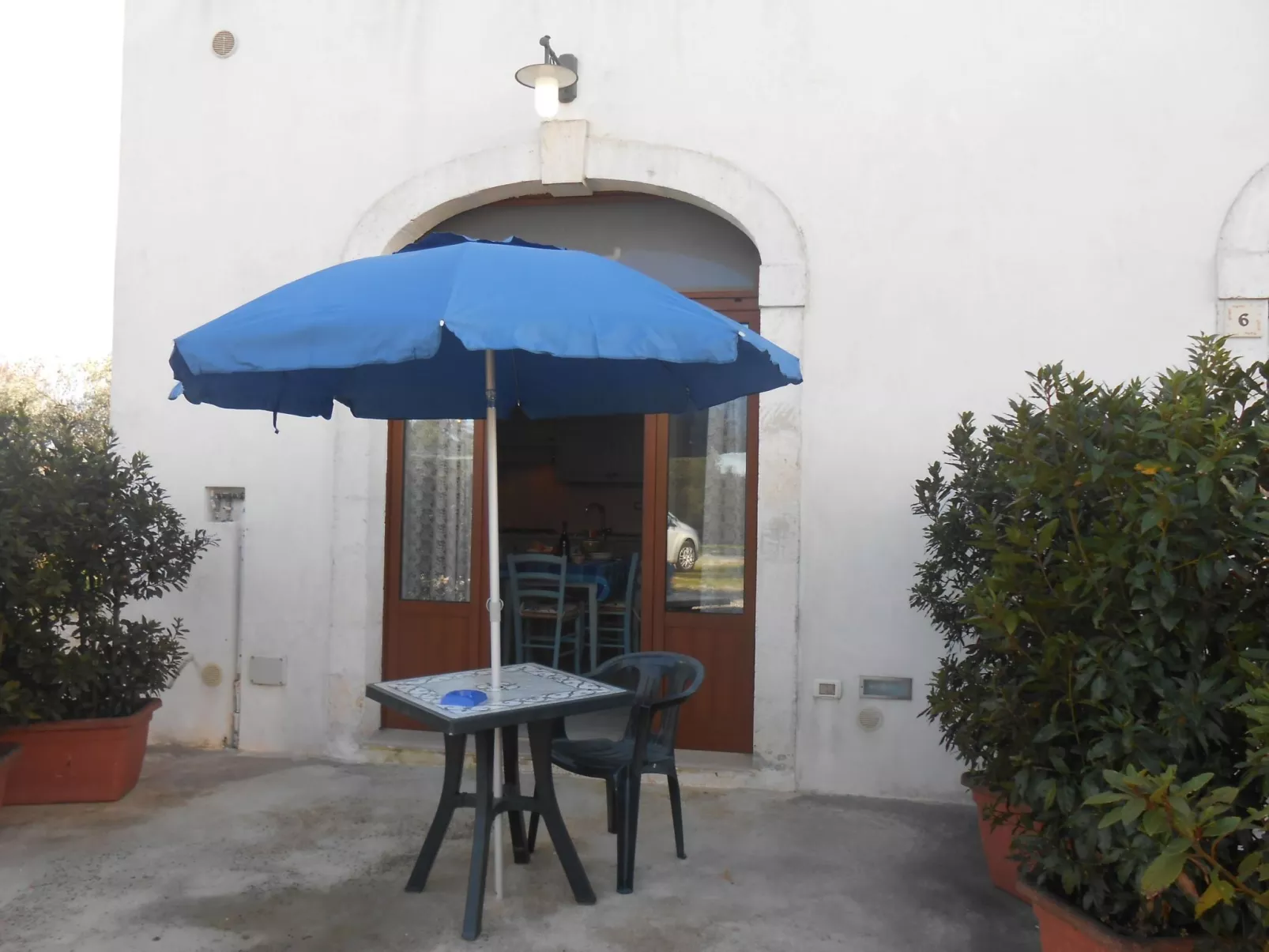 VIOLA-Image-tags.info