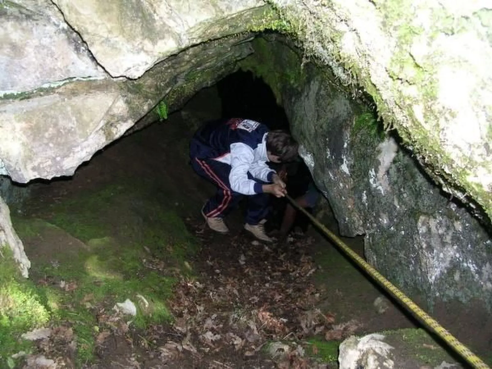 Lumache-Image-tags.info