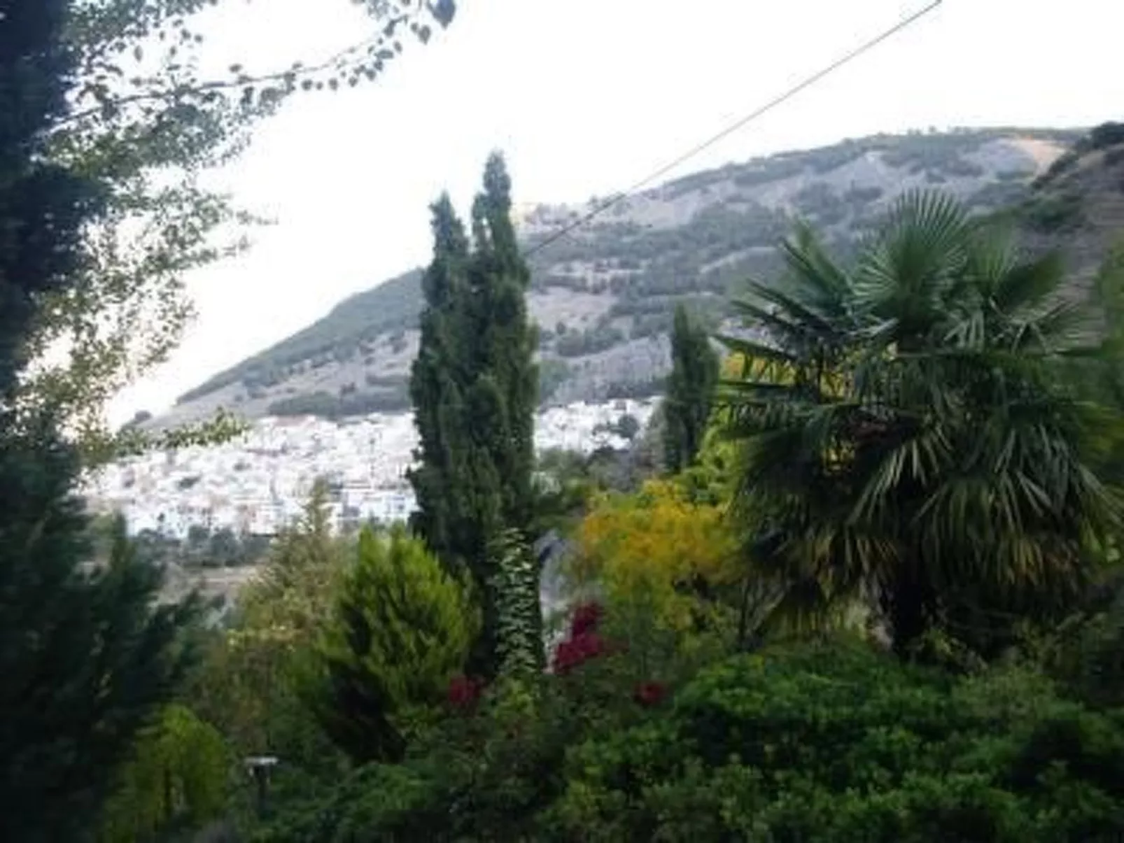 La Casita-Image-tags.info