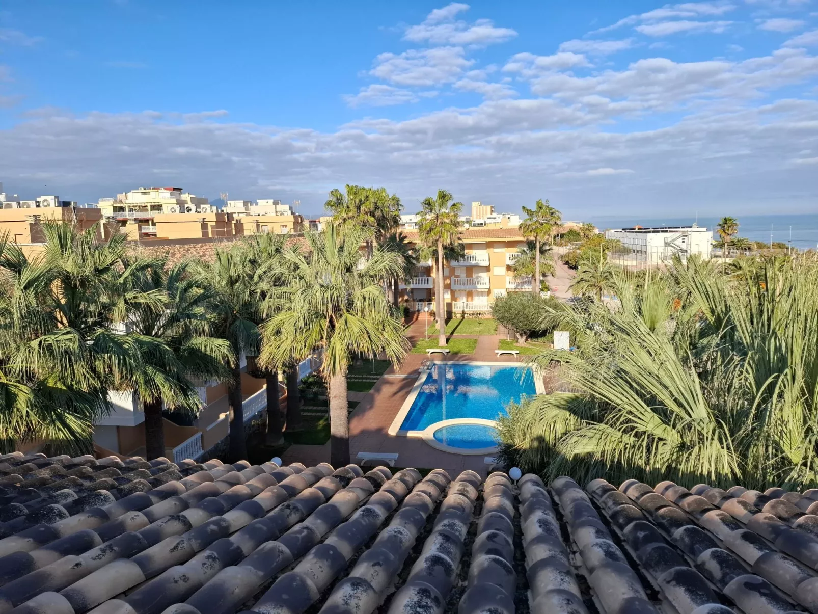 Wohnung Stella, 1. Reihe Meerblick und Palmen-Buiten