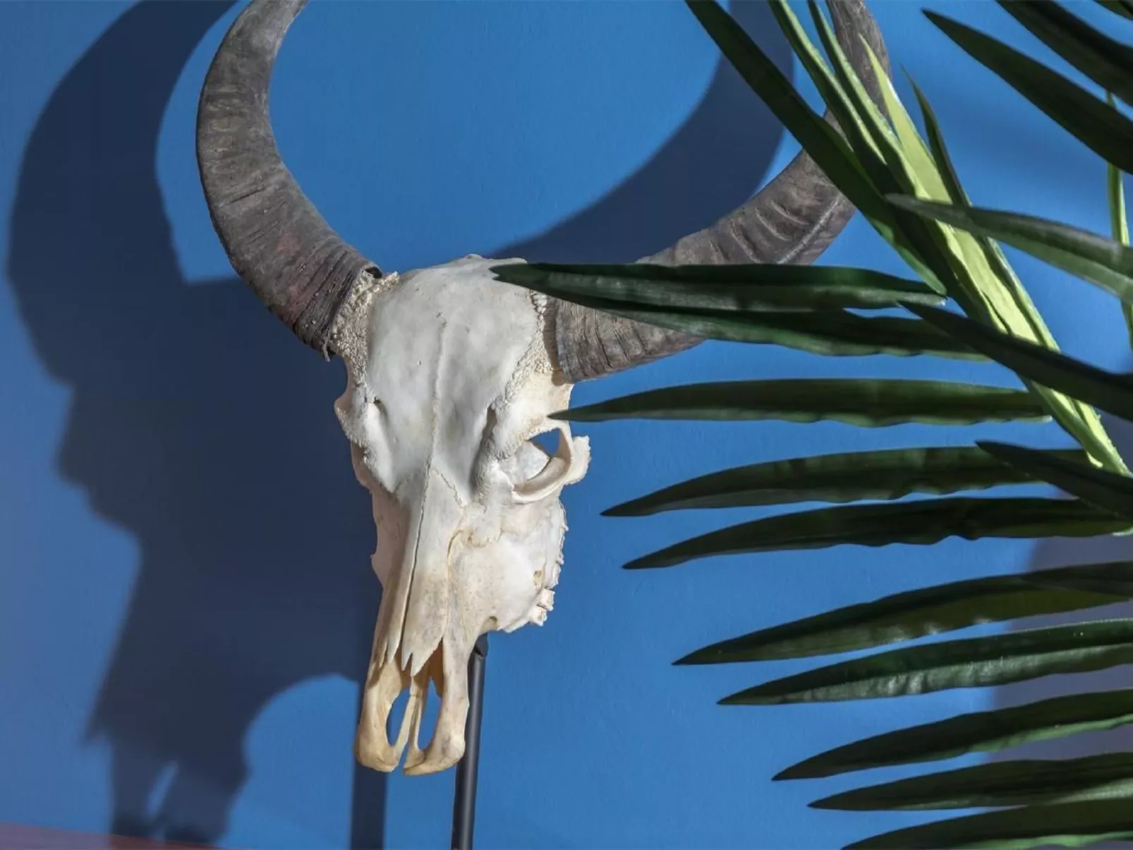 Stilvolle Wohnung in El Charco - Arrecife-Binnen