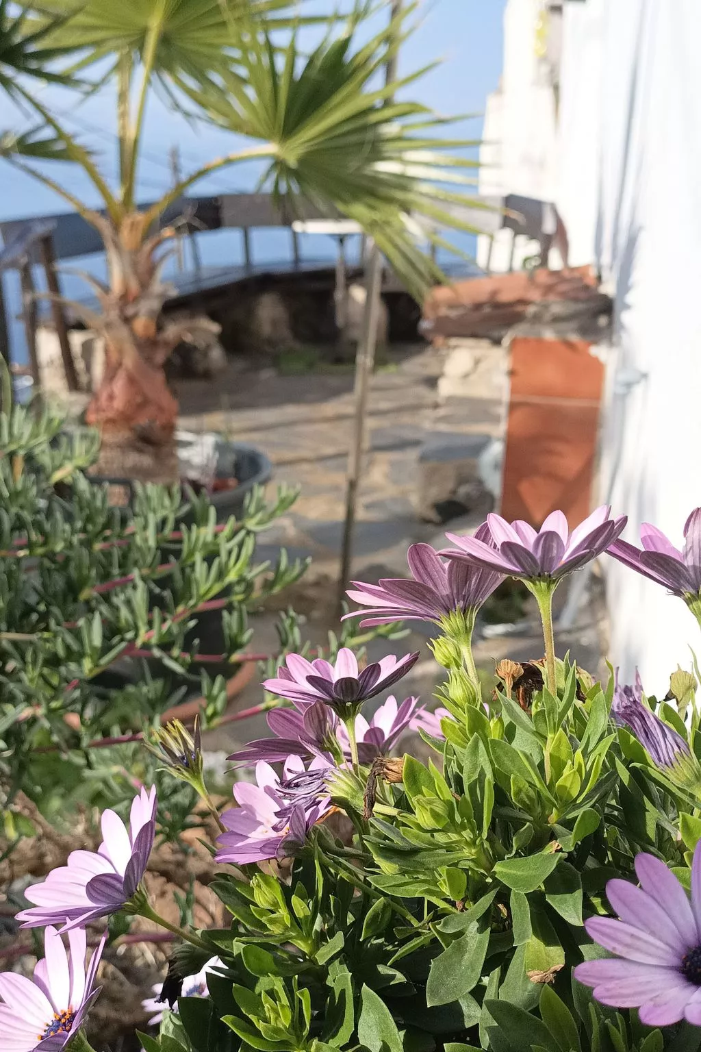 Casa Madera 2-Buiten