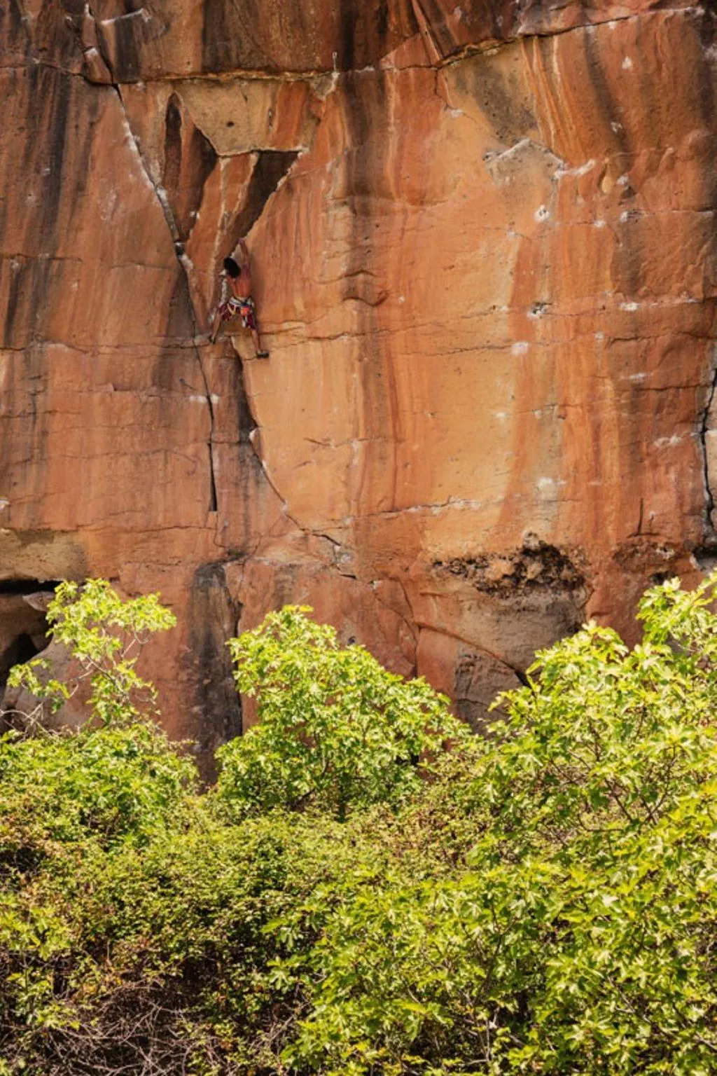 Haus mit Pool und Grill auf Teneriffa-Image-tags.info