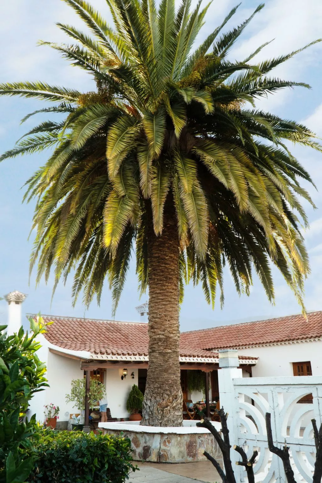 Typisch kanarische Finca Elena mit eigenem Pool-Buiten