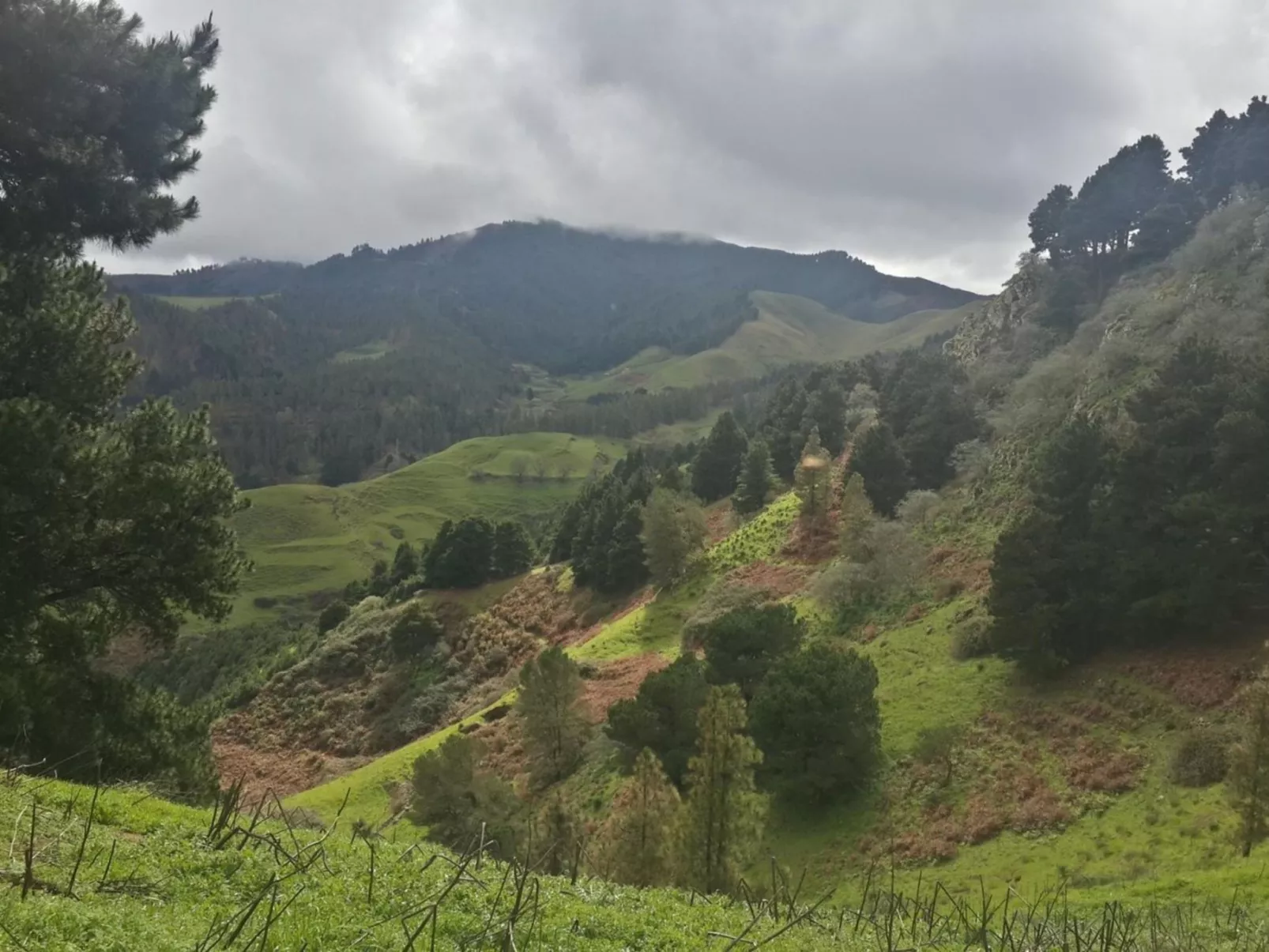 Landhaus "La Cabaña" mit Privatparkplatz-Buiten