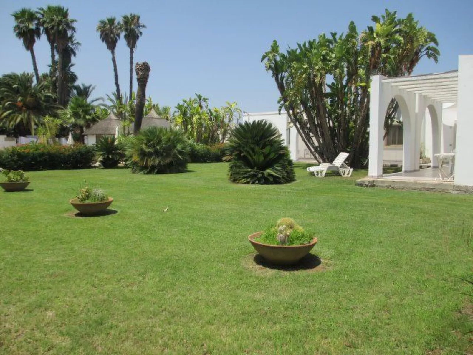 Cuore di Palme Bilo-Buiten