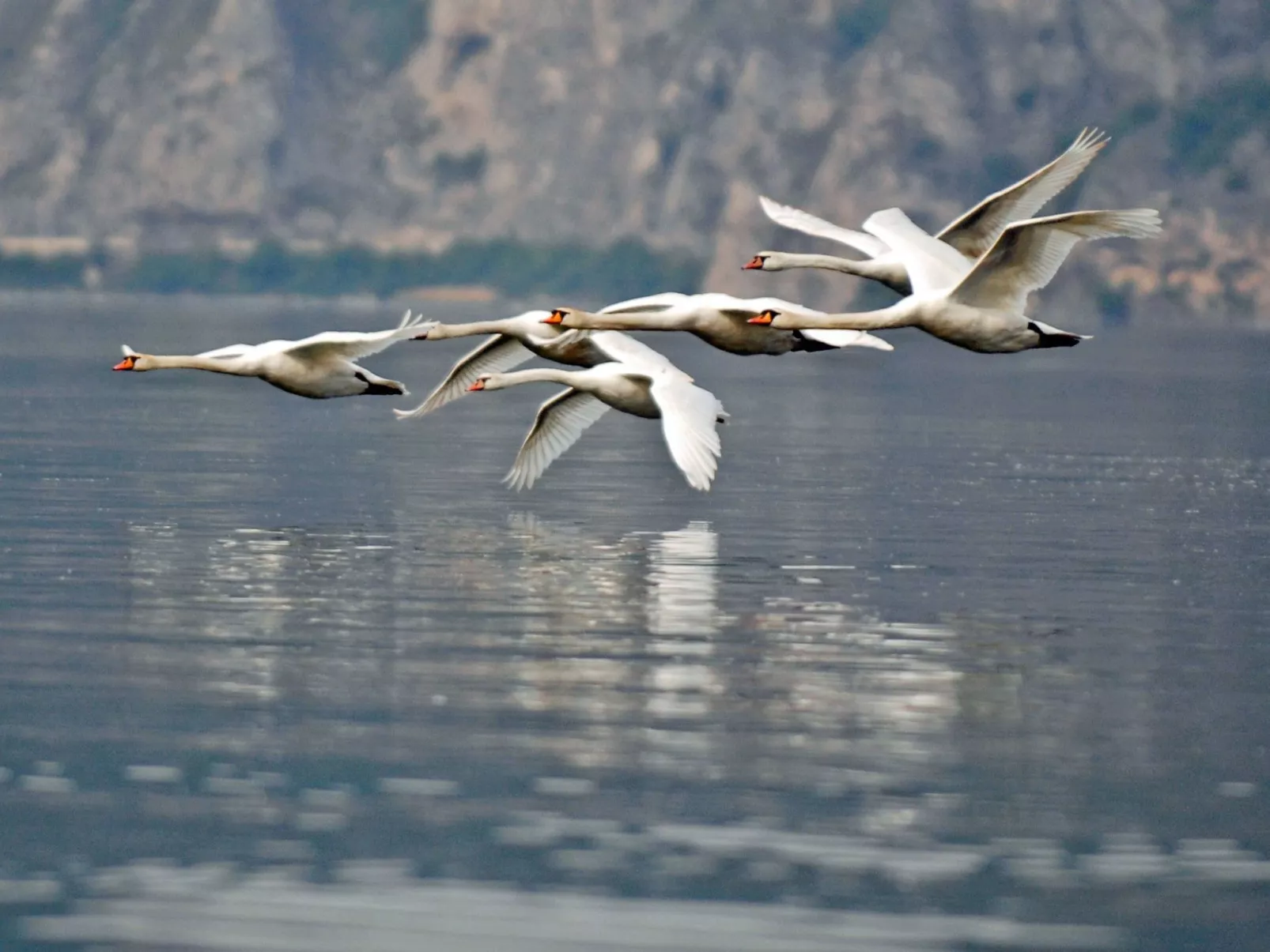 Studio-Apartment mit Balkon mit Seeblick und Zugang zum Garten-Buiten