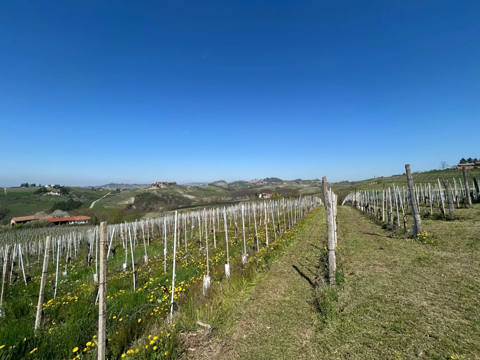 Casa il Cuore delle Langhe bei Holiday World-Buiten