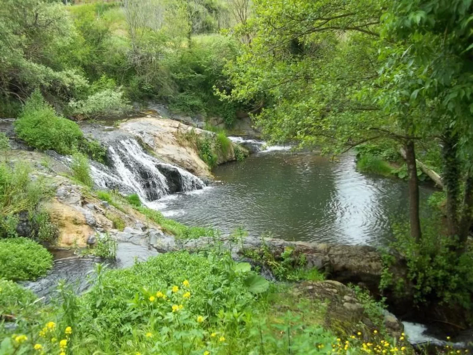 Die Villa die Mühle-Image-tags.info