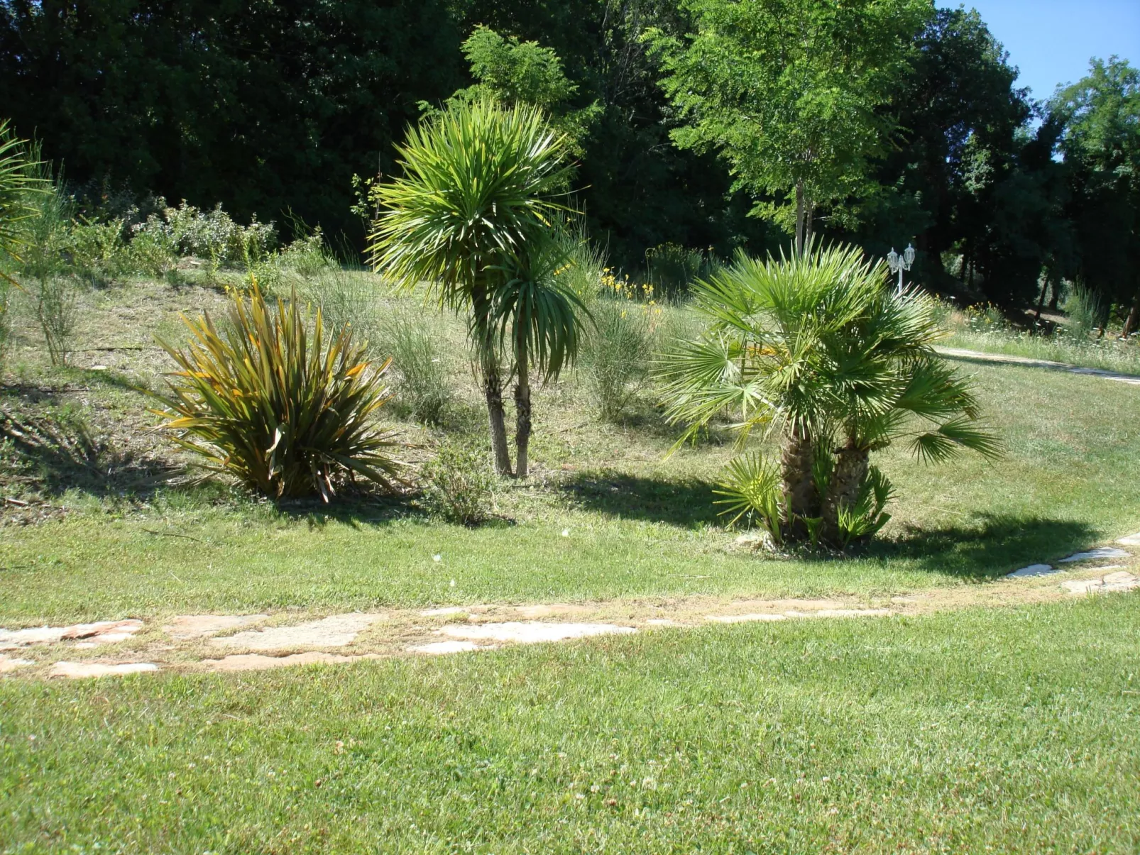 Charmante Lösung, Schwimmbad 10 Minuten vom Meer entfernt-Buiten