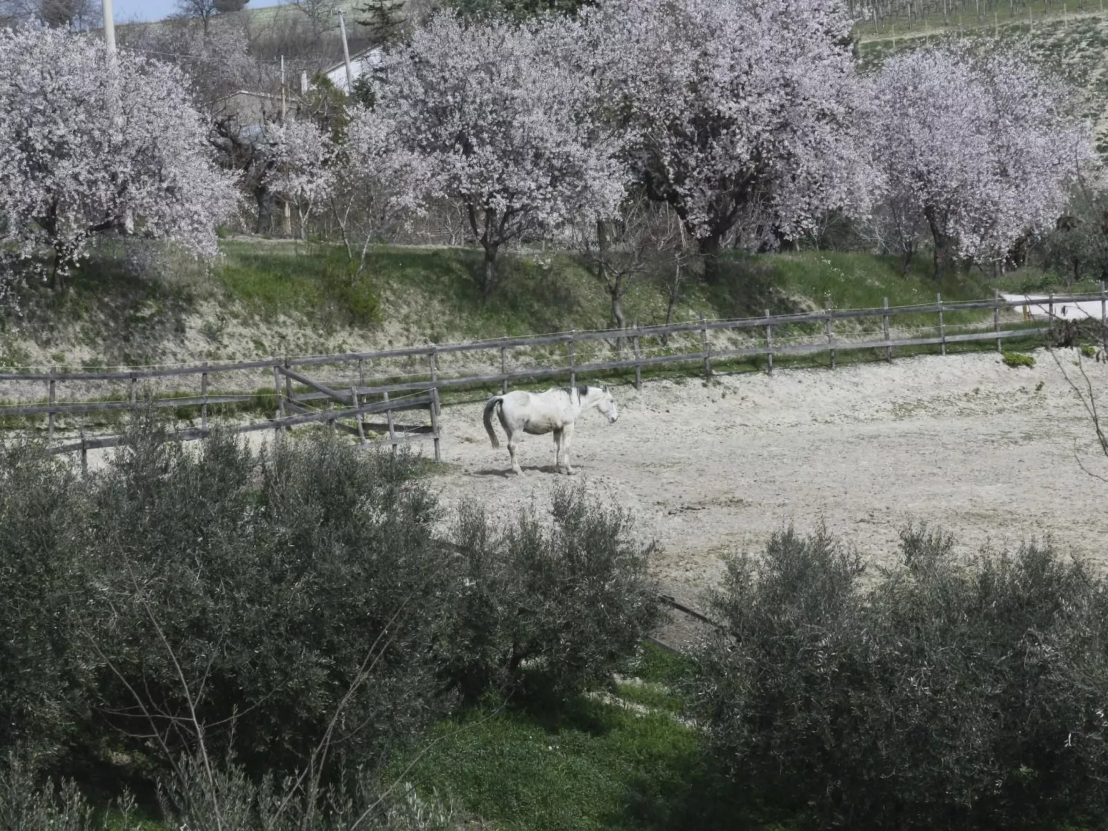 In der Gegend zwischen Meer und Berghang-Image-tags.info