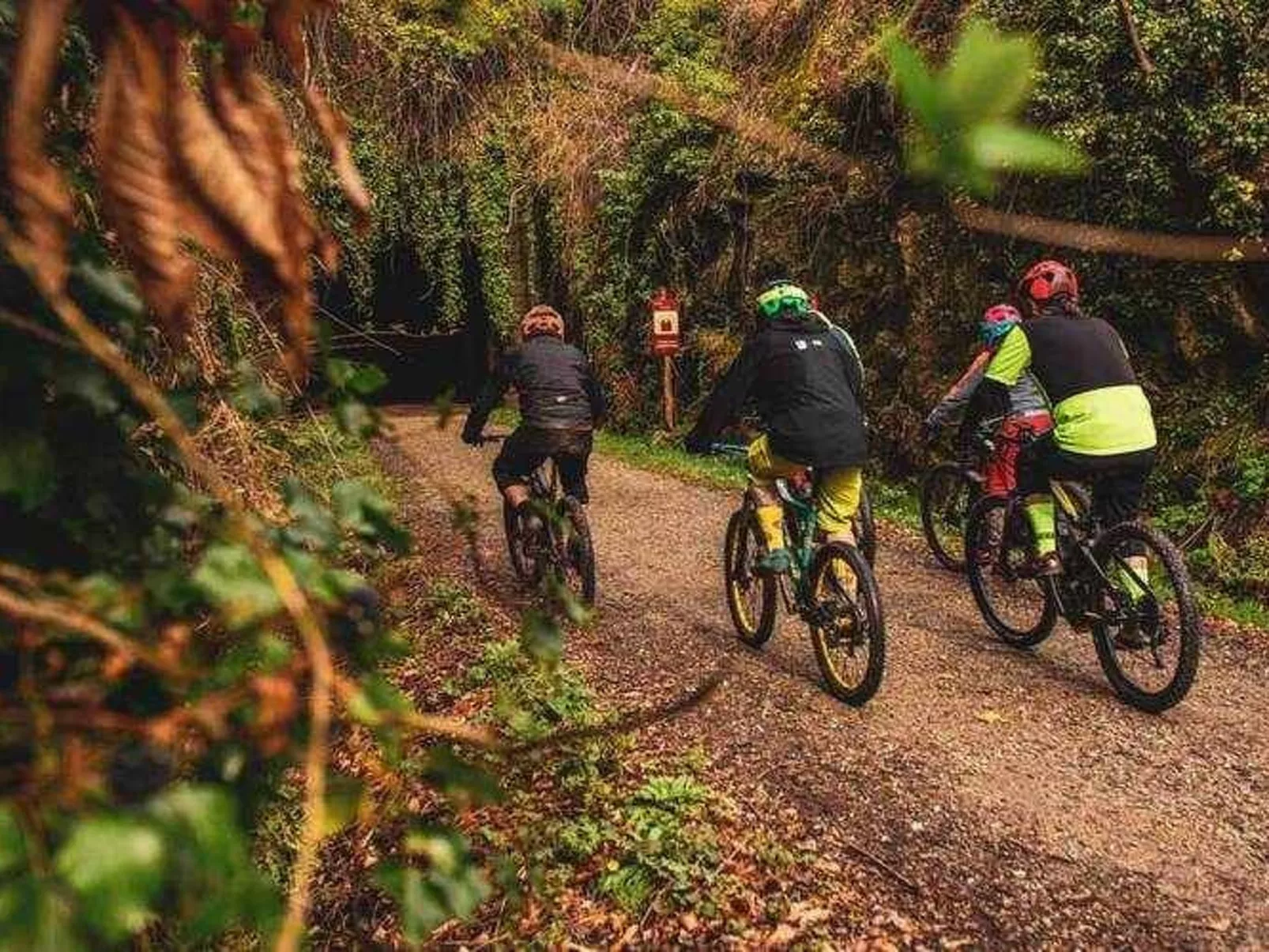 Fachwerkhaus "Casa Rural Picual"-Buiten