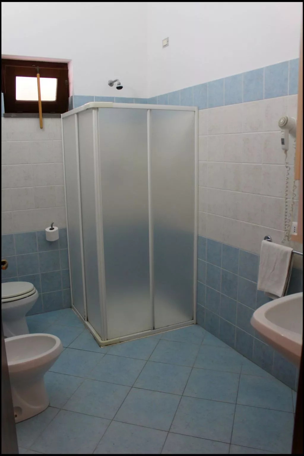 'Camelia ab 236-Image-tags.info