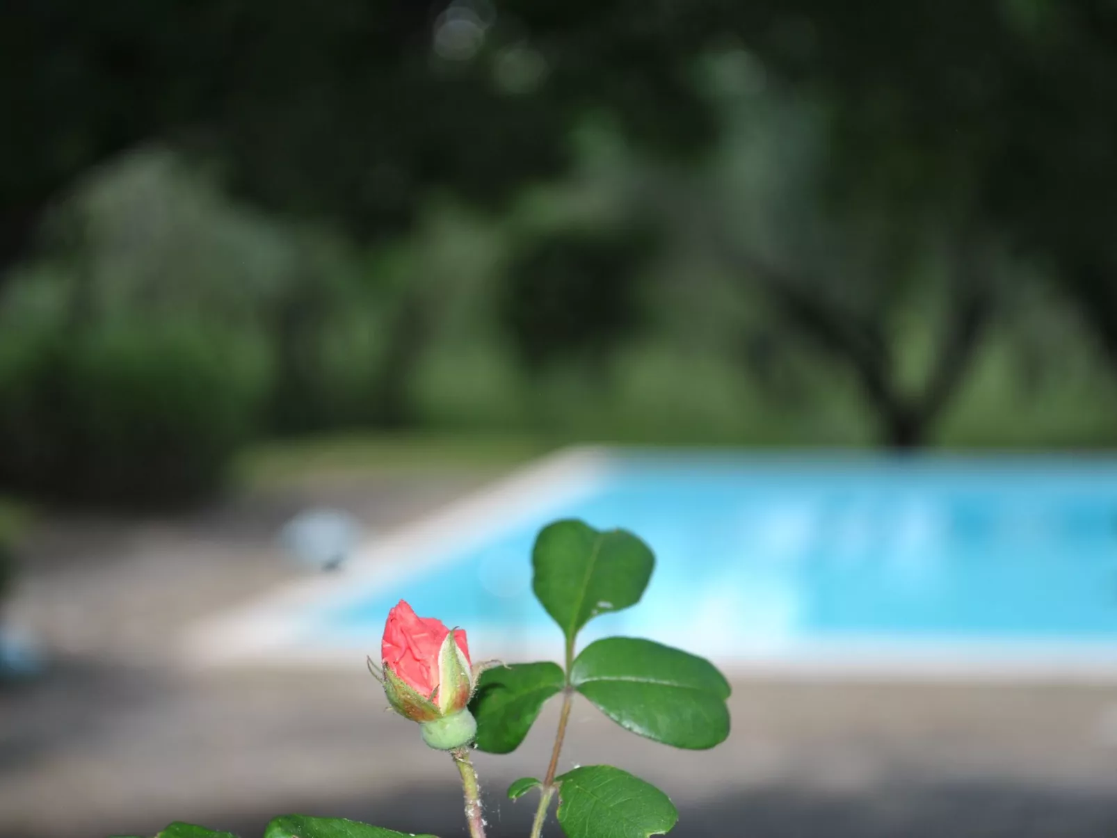 Sage' Anwesen mit Gemeinschaftspool-Buiten