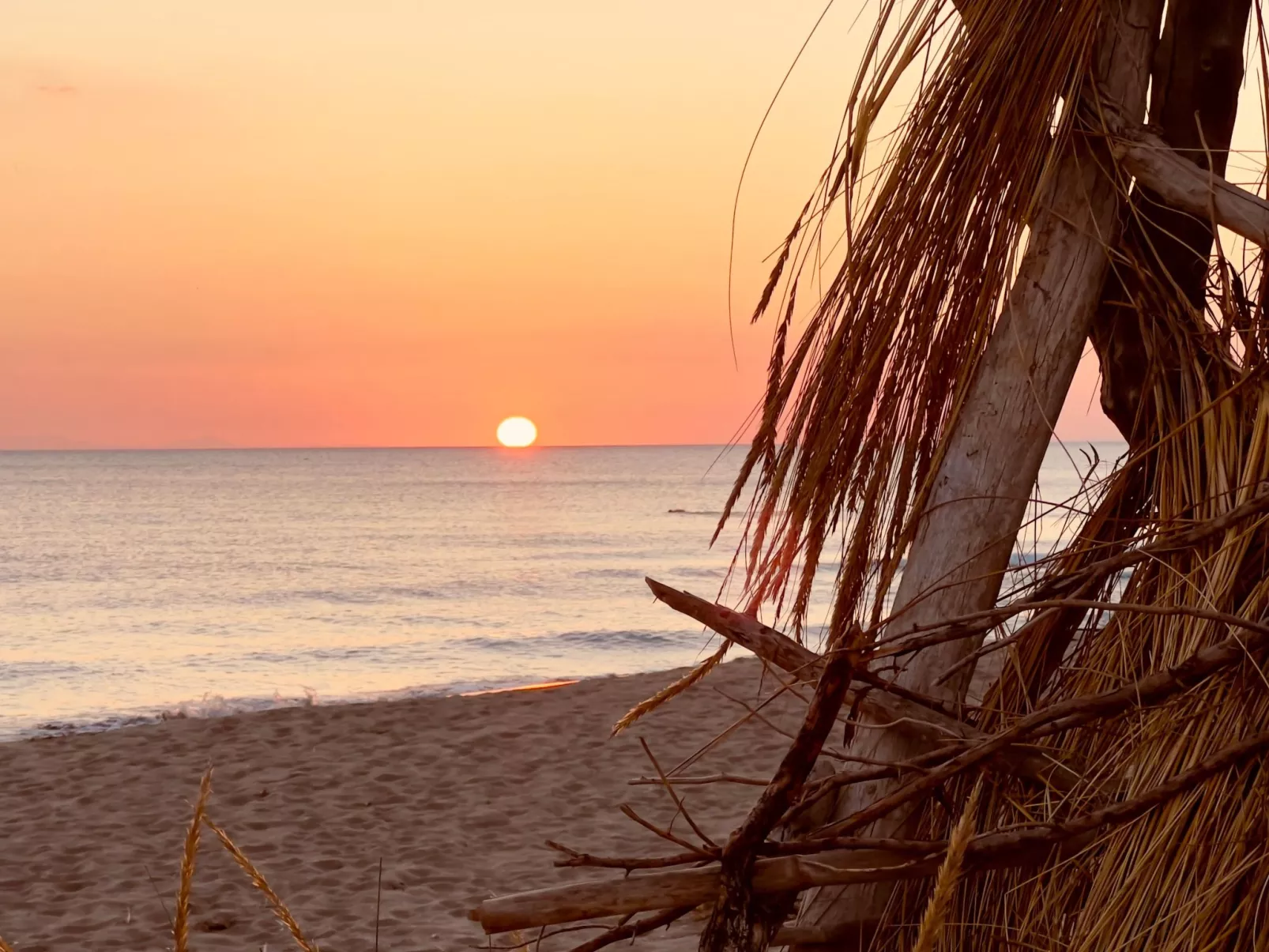 Wohnung Cielo-Buiten