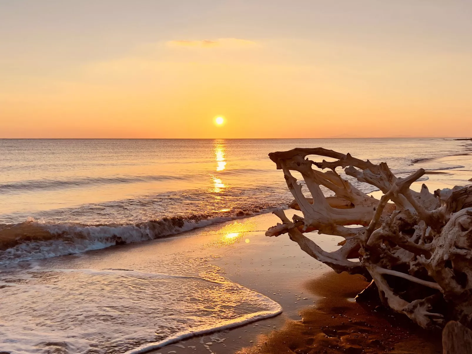 Wohnung Alborense-Buiten