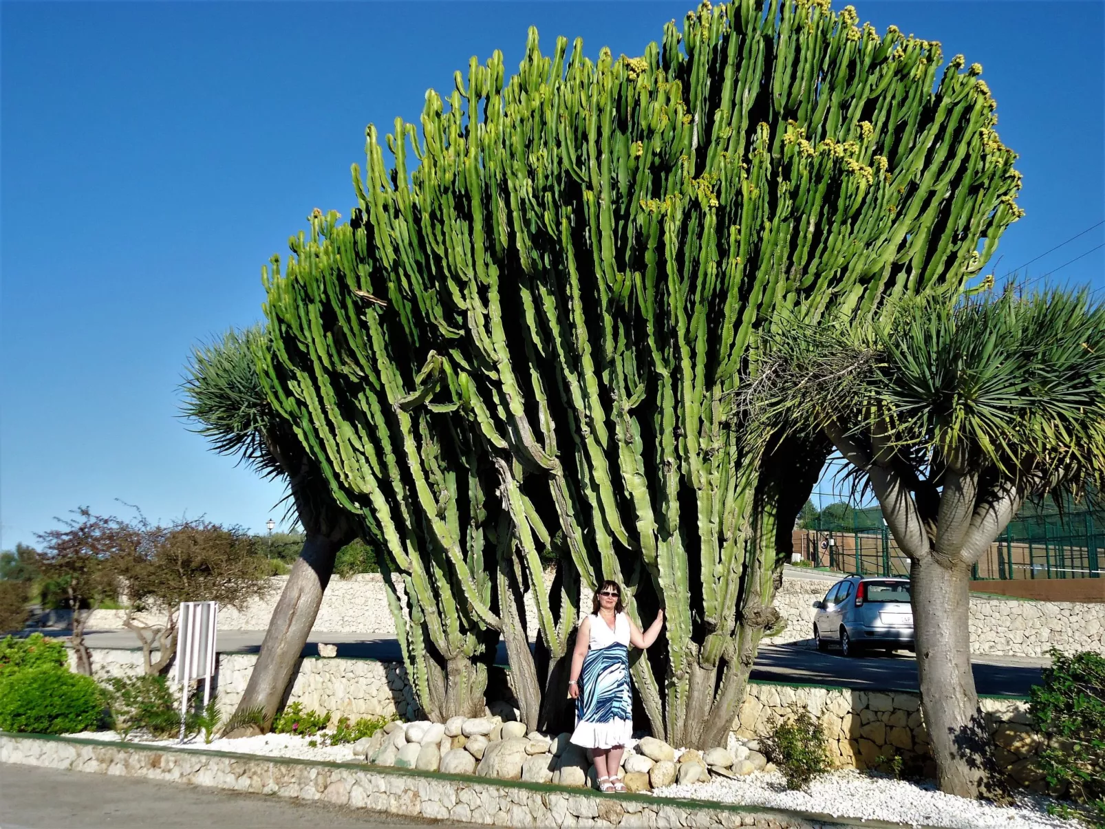 Villa del Mar-Buiten