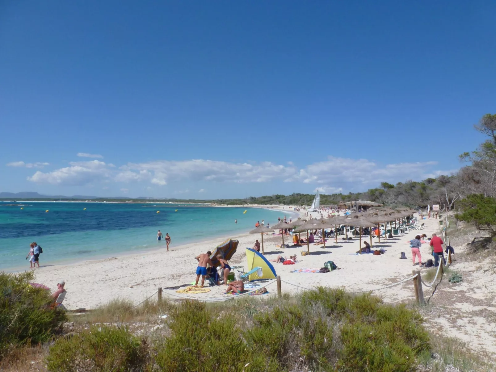 In Campos mit Privatem Pool - Image-tags.info