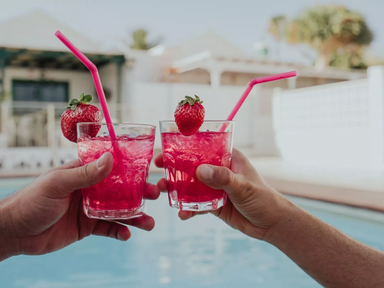 Holanda Tropic Deluxe-Image-tags.info