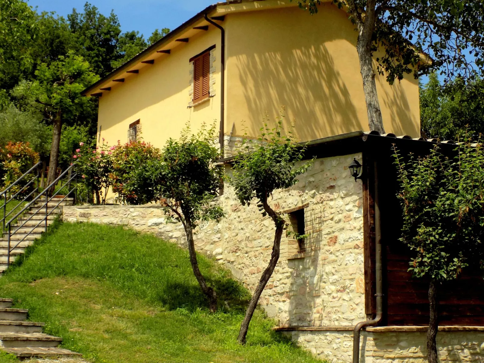 Flacher Flieder-Buiten