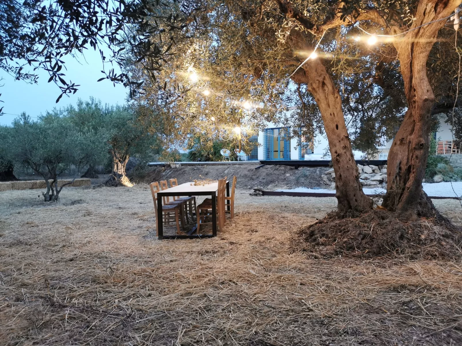 Haus in Partinico mit privatem Pool-Image-tags.info