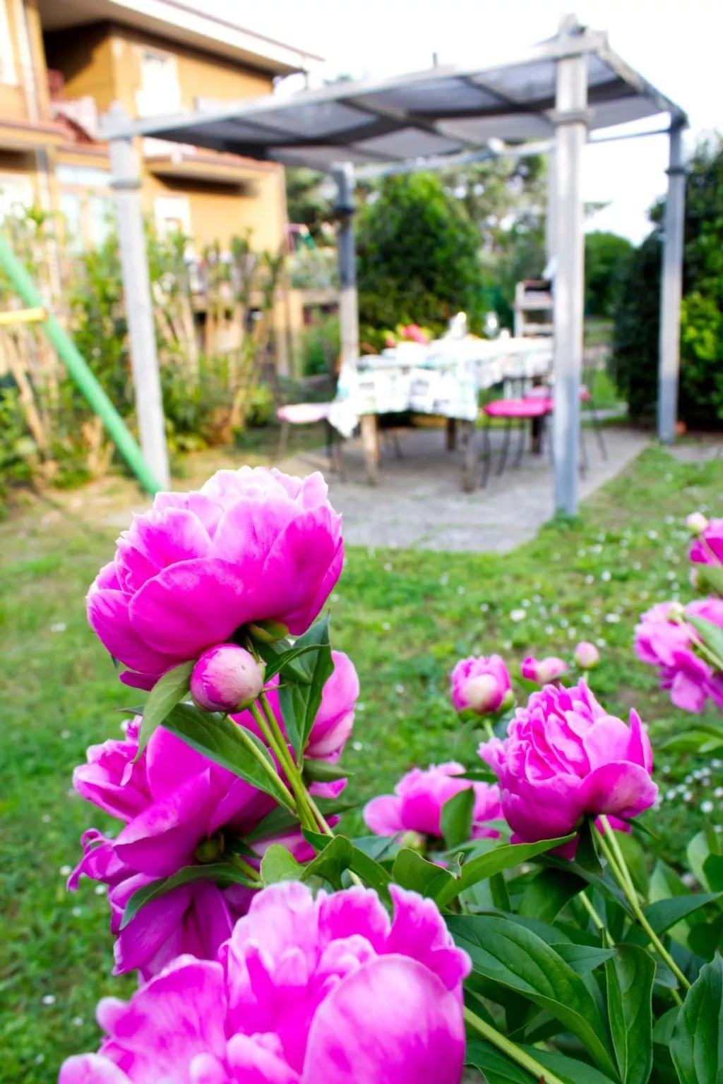 Wohnung 'Casa Natalia' mit Privatparkplatz-Image-tags.info