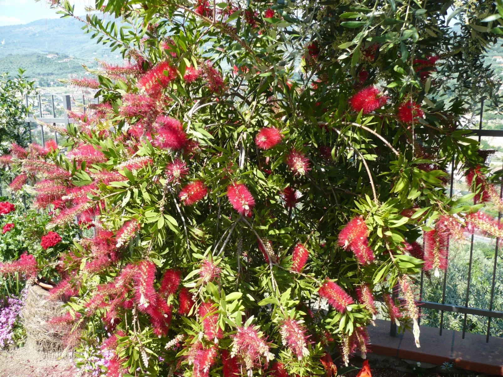 Zwei-Zimmer-Wohnung mit Meer- und Stadtblick-Image-tags.info