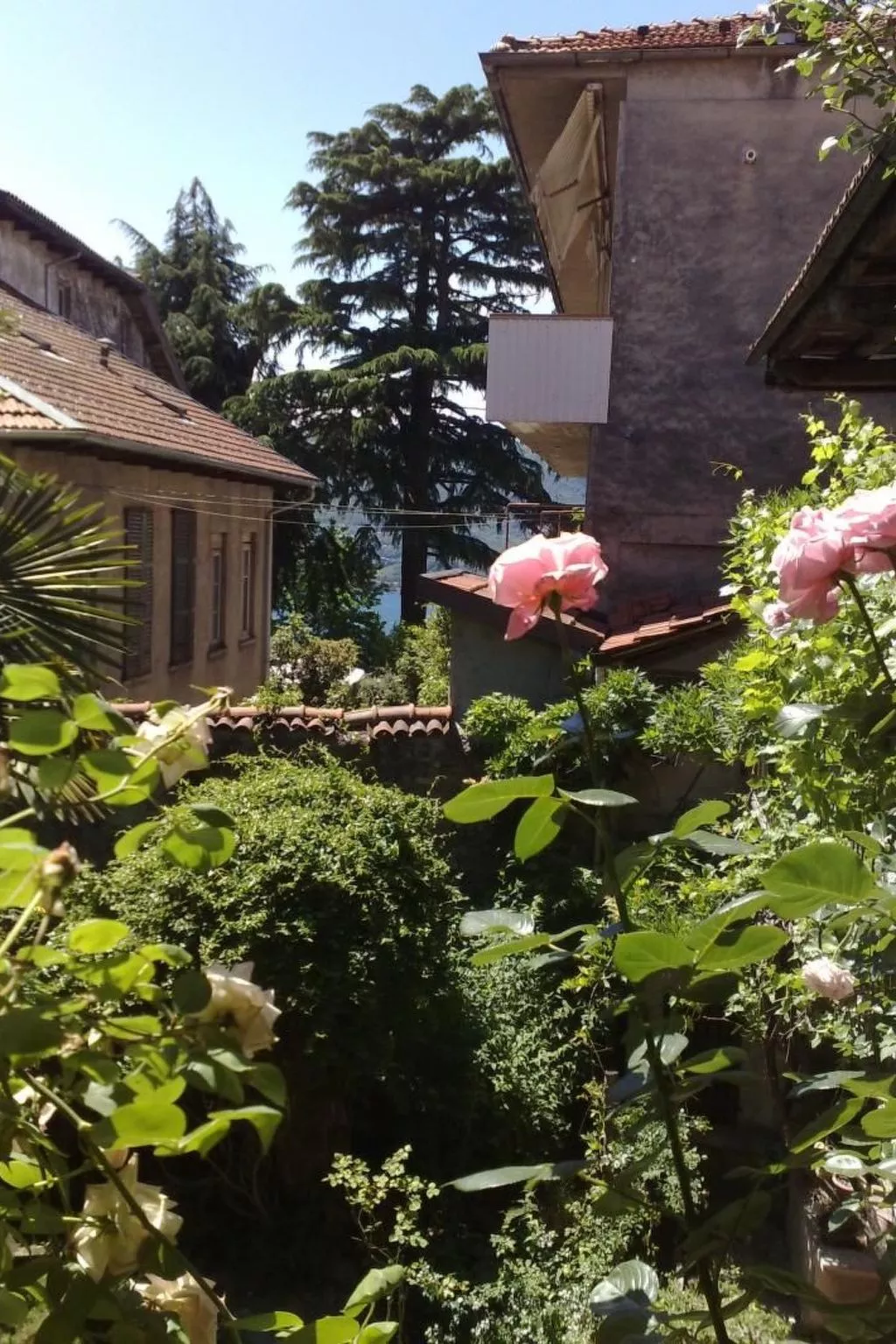 Wohnung 'Glicine' mit Wasserblick-Image-tags.info