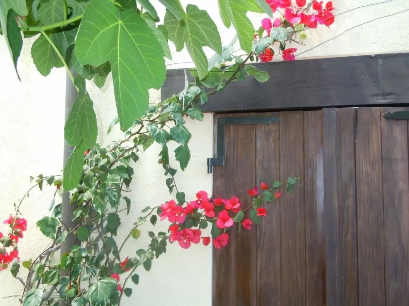 Schönes Ferienhaus mit Garten und Whirlpool-Buiten