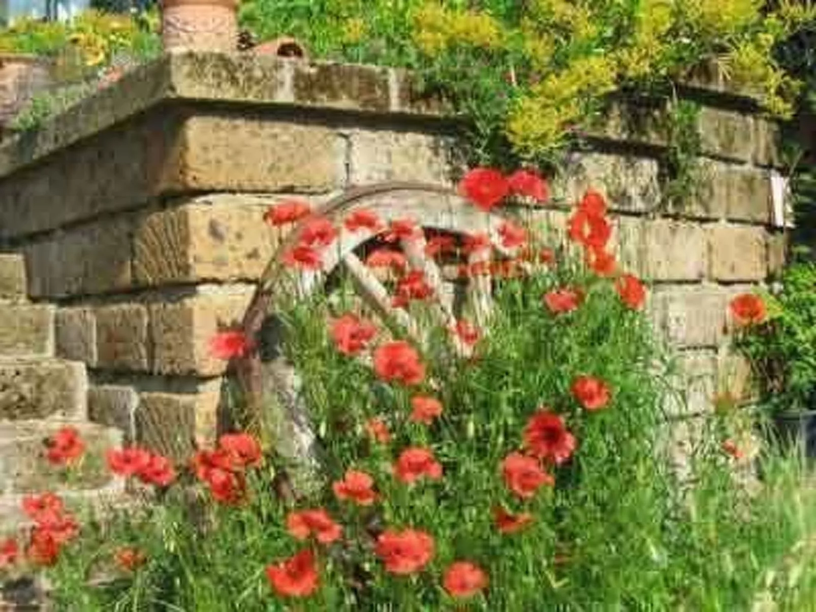 Casa Desiderio-Buiten